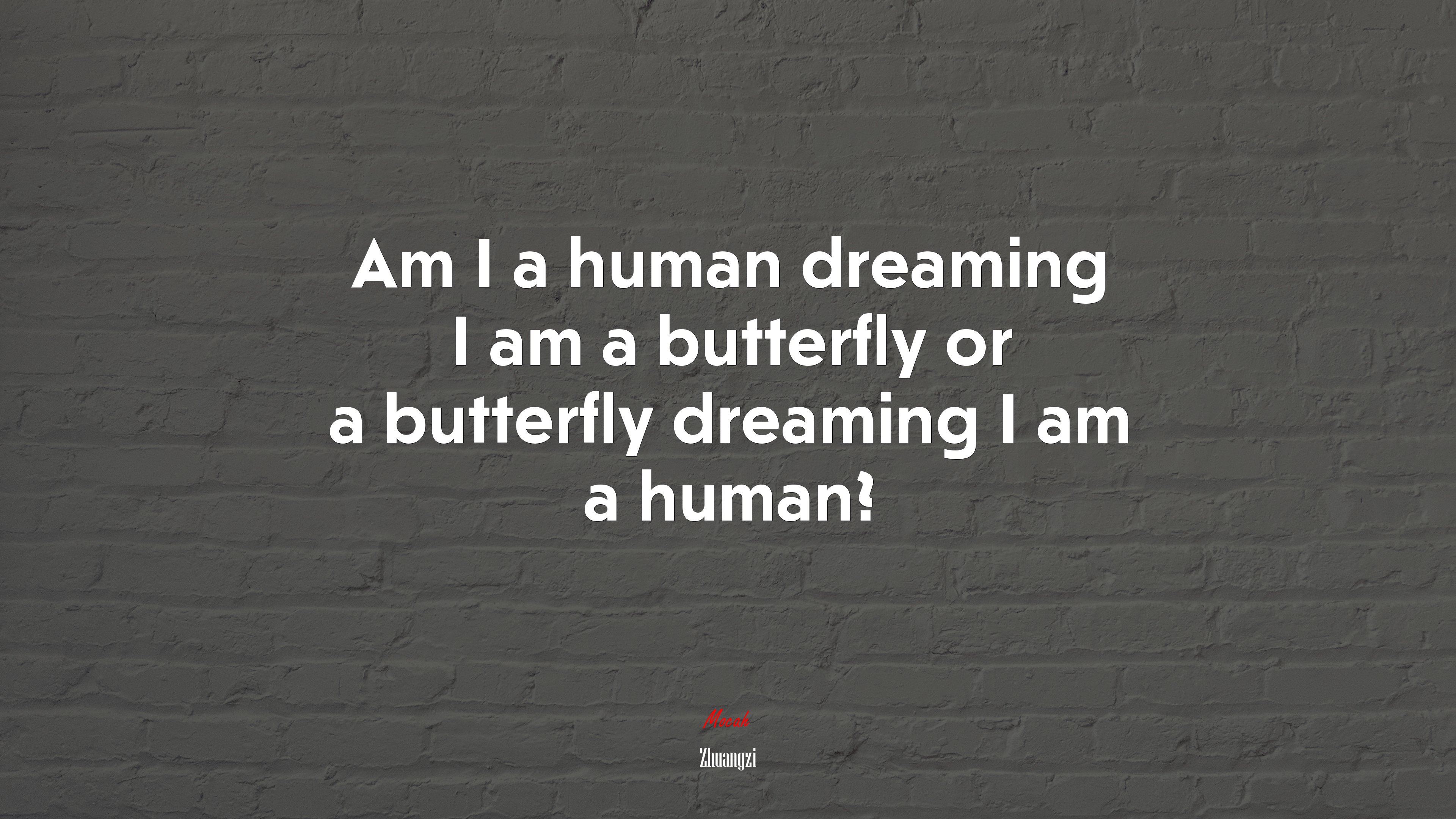 Am I a human dreaming I am a butterfly or a butterfly dreaming I am a human? | Zhuangzi quote HD Wallpaper