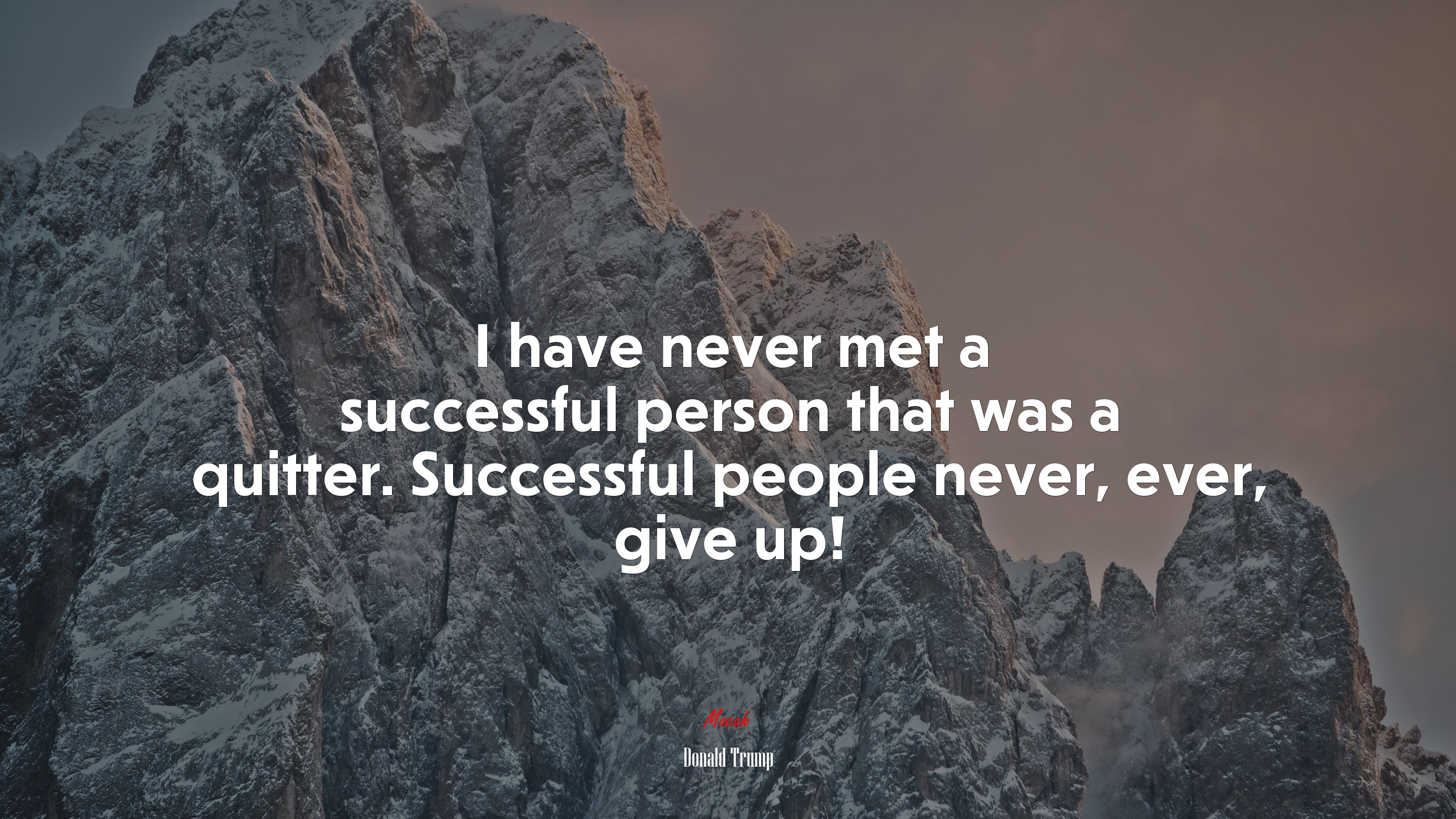 I have never met a successful person that was a quitter. Successful people never, ever, give up! | Donald Trump quote HD Wallpaper