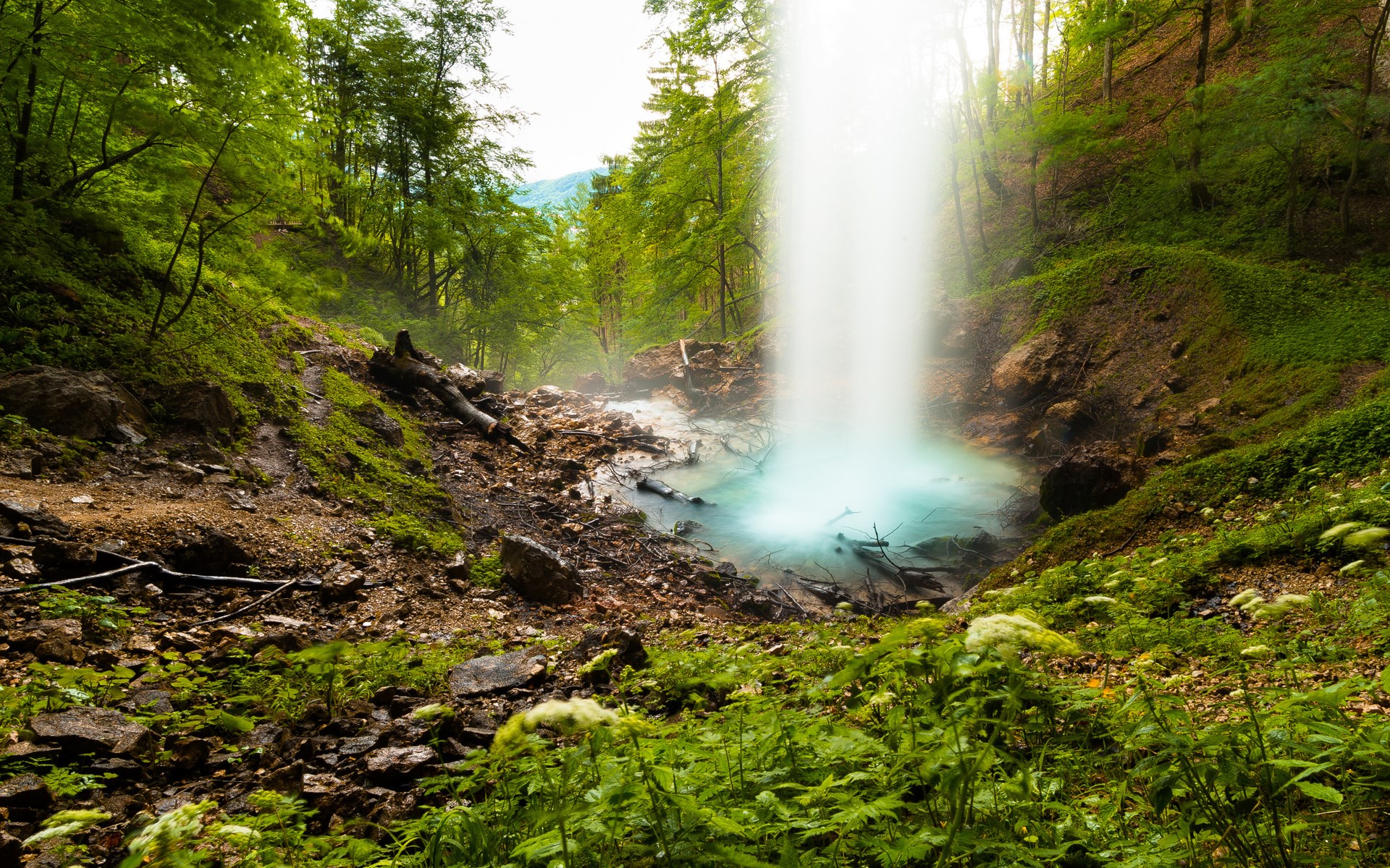 Waterfall cascading into a turquoise pool in a lush forest HD Wallpaper
