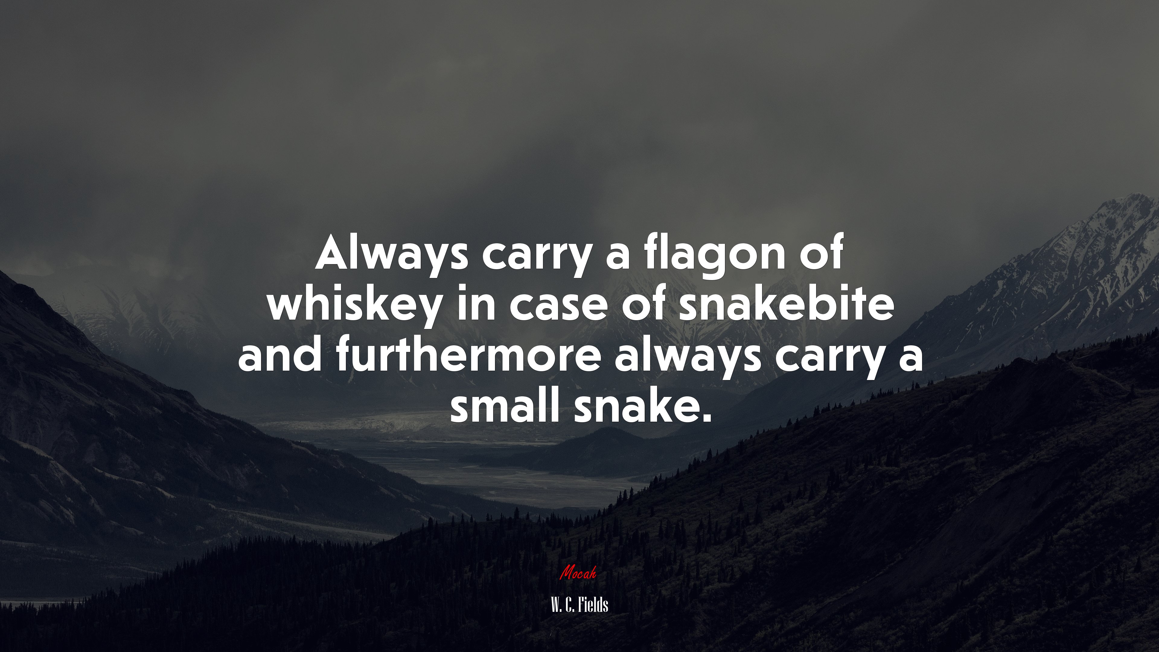 Always carry a flagon of whiskey in case of snakebite and furthermore always carry a small snake. | W. C. Fields quote HD Wallpaper