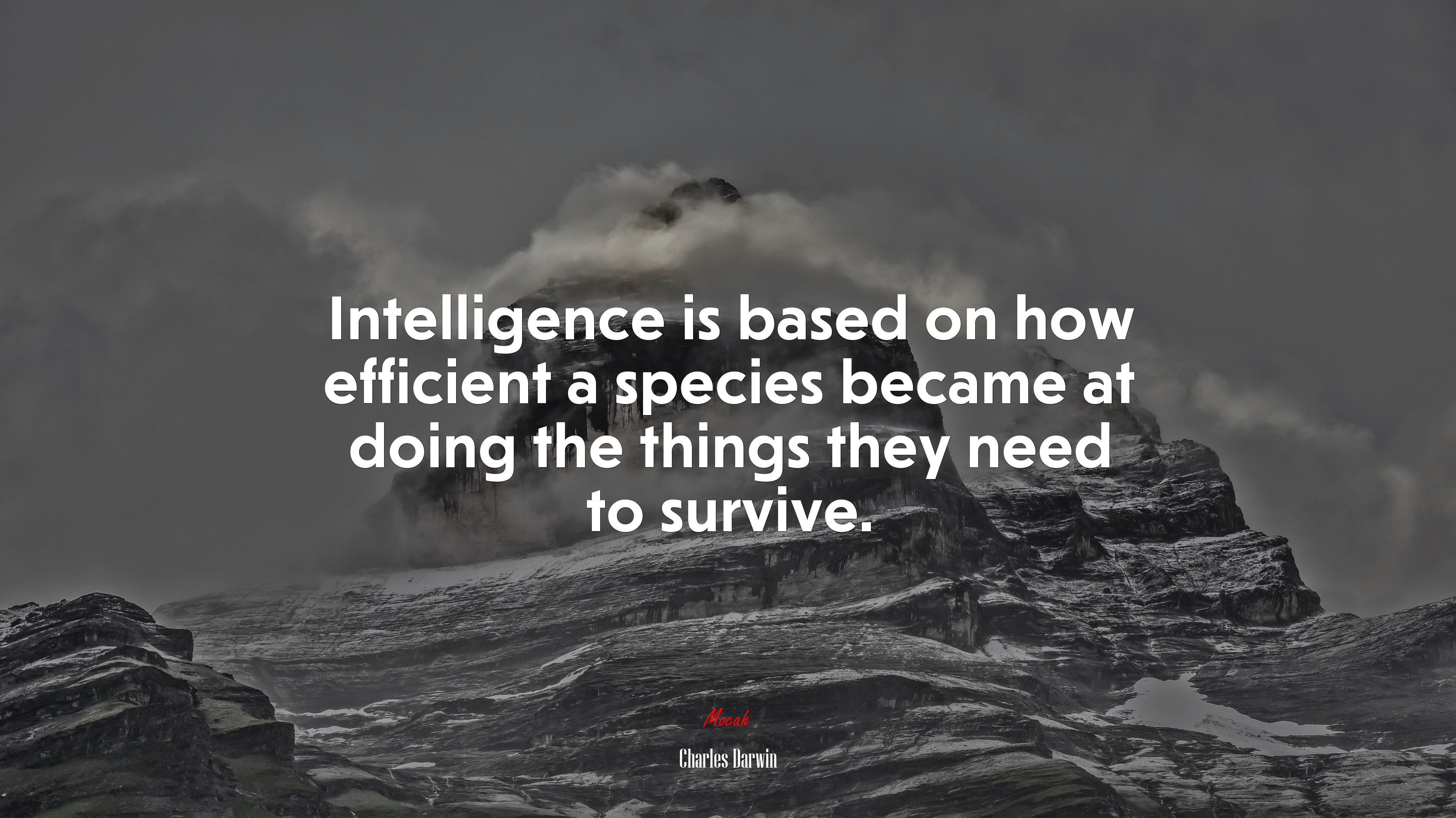 Intelligence is based on how efficient a species became at doing the things they need to survive. | Charles Darwin quote HD Wallpaper