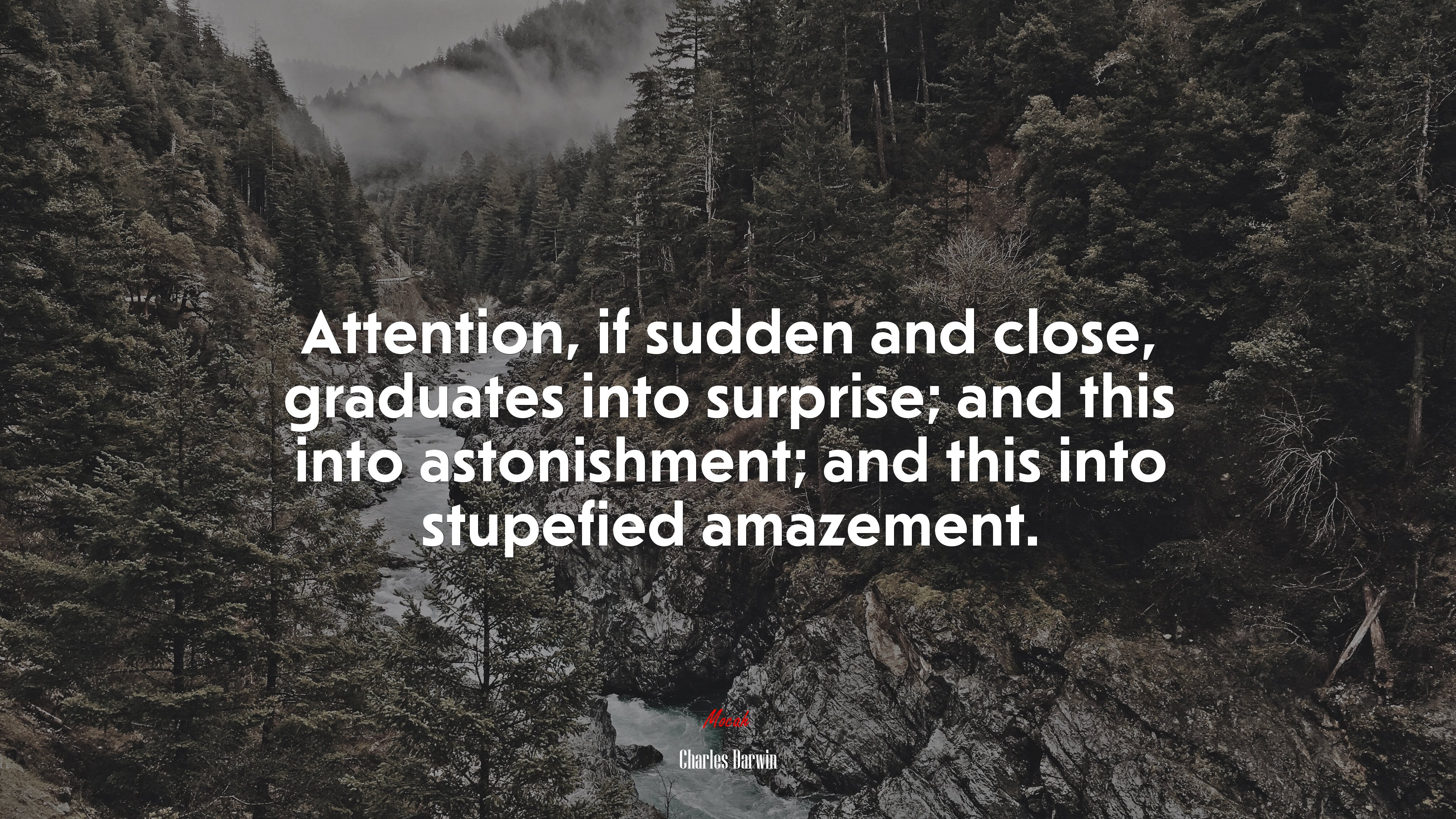 Attention, if sudden and close, graduates into surprise; and this into astonishment; and this into stupefied amazement. | Charles Darwin quote HD Wallpaper