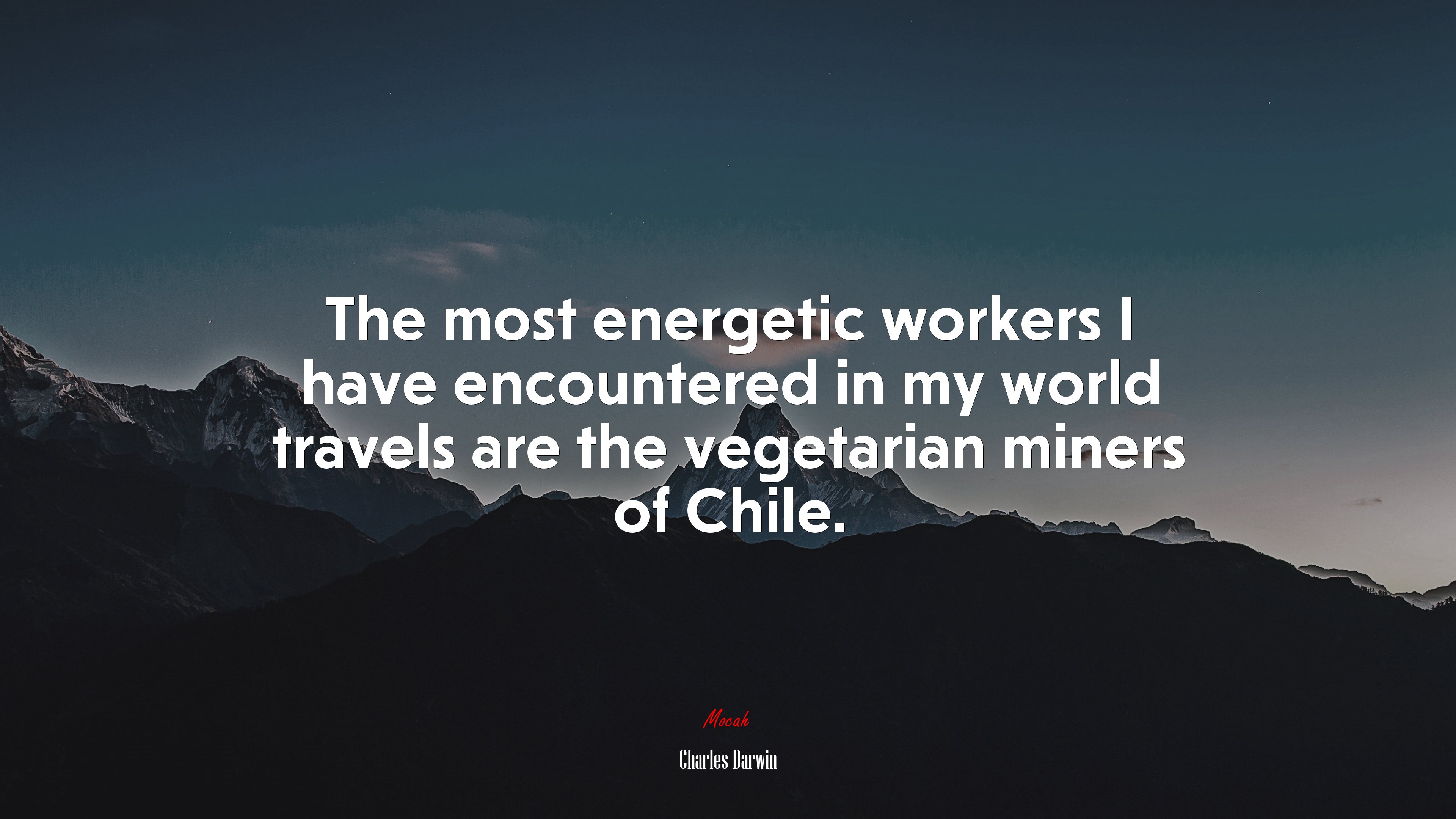 The most energetic workers I have encountered in my world travels are the vegetarian miners of Chile. | Charles Darwin quote HD Wallpaper