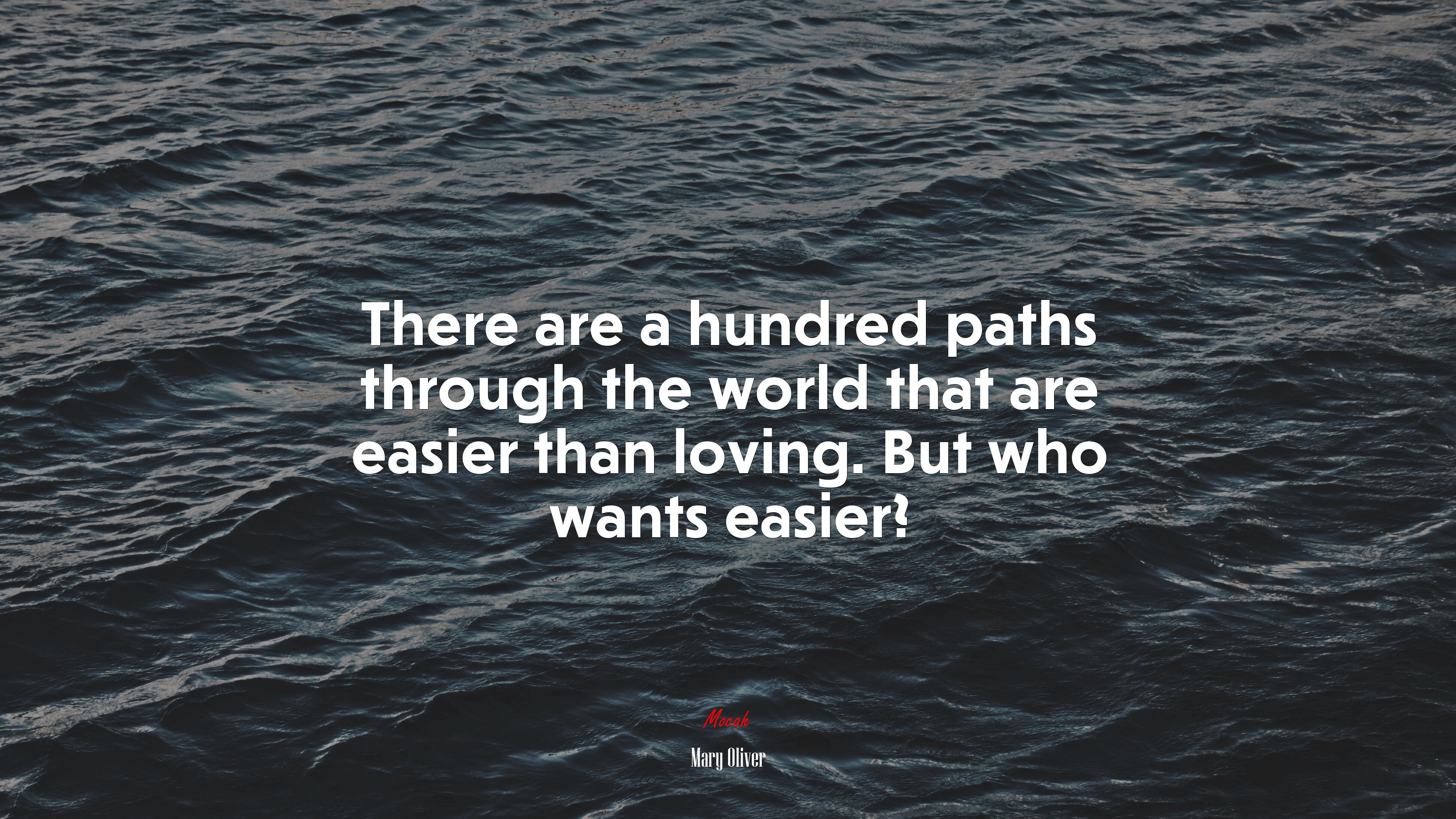 There are a hundred paths through the world that are easier than loving. But who wants easier? | Mary Oliver quote HD Wallpaper