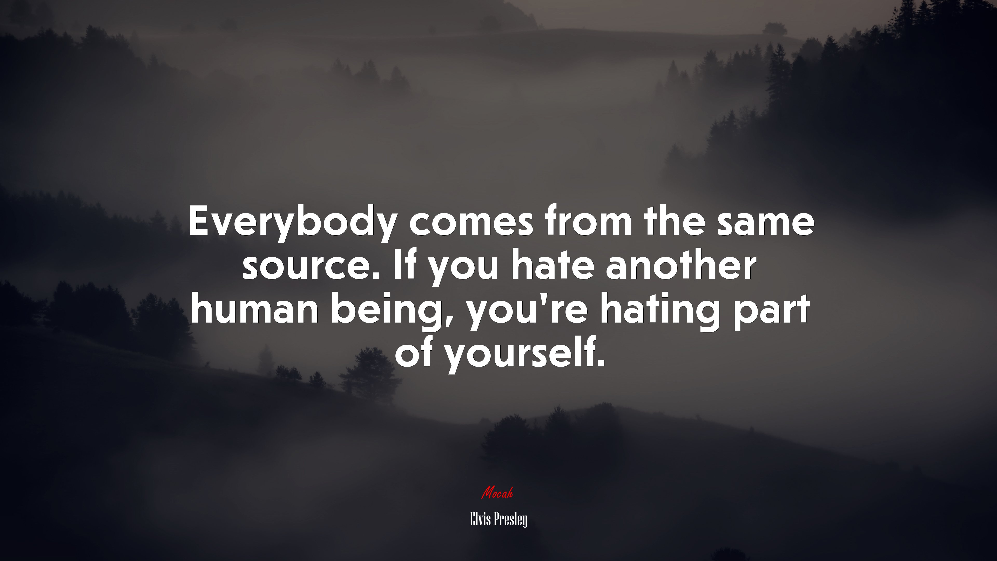 Everybody comes from the same source. If you hate another human being, you’re hating part of yourself. | Elvis Presley quote HD Wallpaper