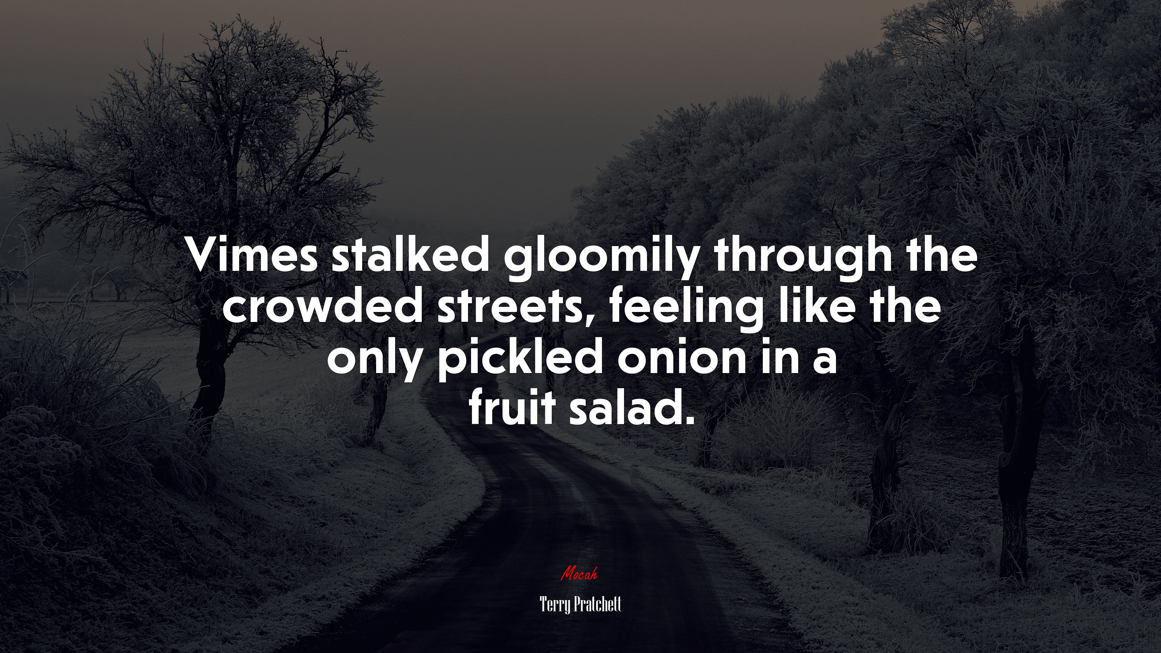 Vimes stalked gloomily through the crowded streets, feeling like the only pickled onion in a fruit salad. | Terry Pratchett quote HD Wallpaper