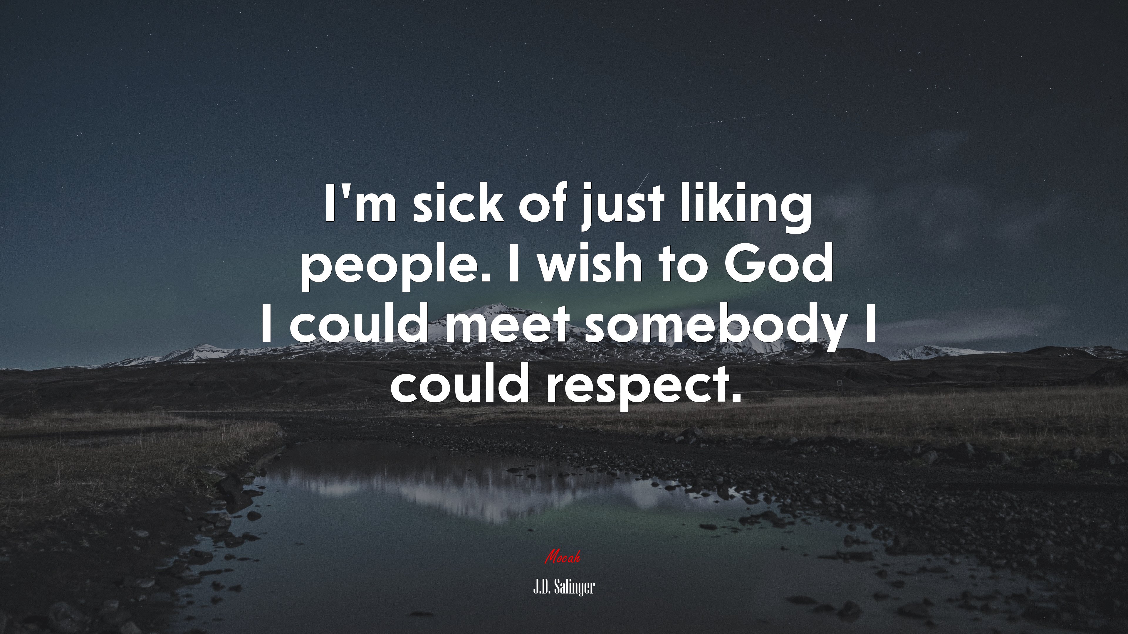I’m sick of just liking people. I wish to God I could meet somebody I could respect. | J.D. Salinger quote HD Wallpaper