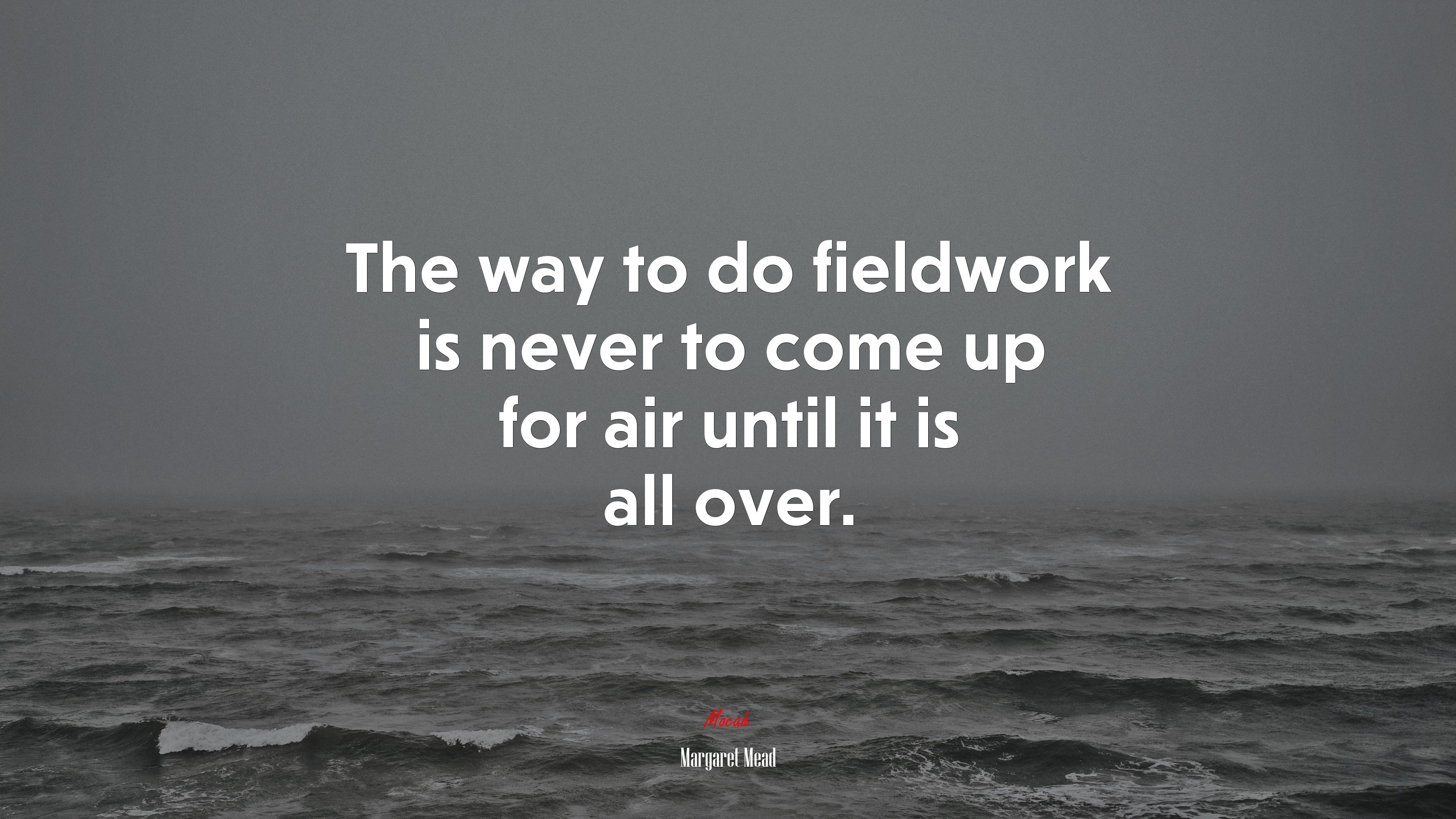 The way to do fieldwork is never to come up for air until it is all over. | Margaret Mead quote HD Wallpaper