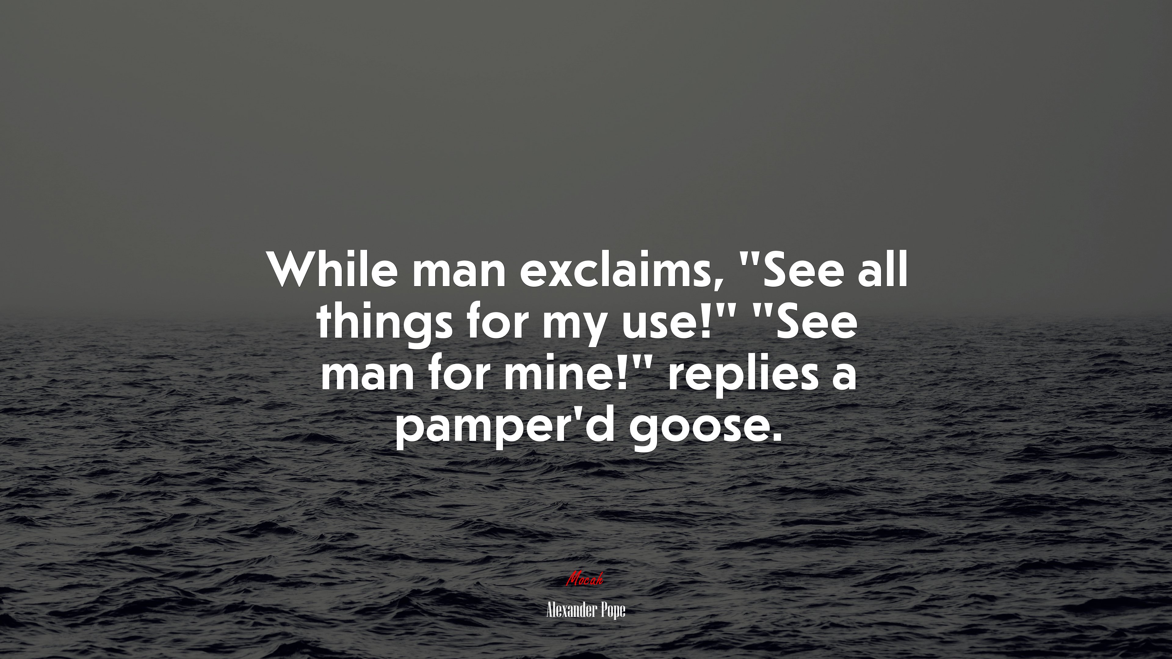 While man exclaims, “See all things for my use!” “See man for mine!” replies a pamper’d goose. | Alexander Pope quote HD Wallpaper