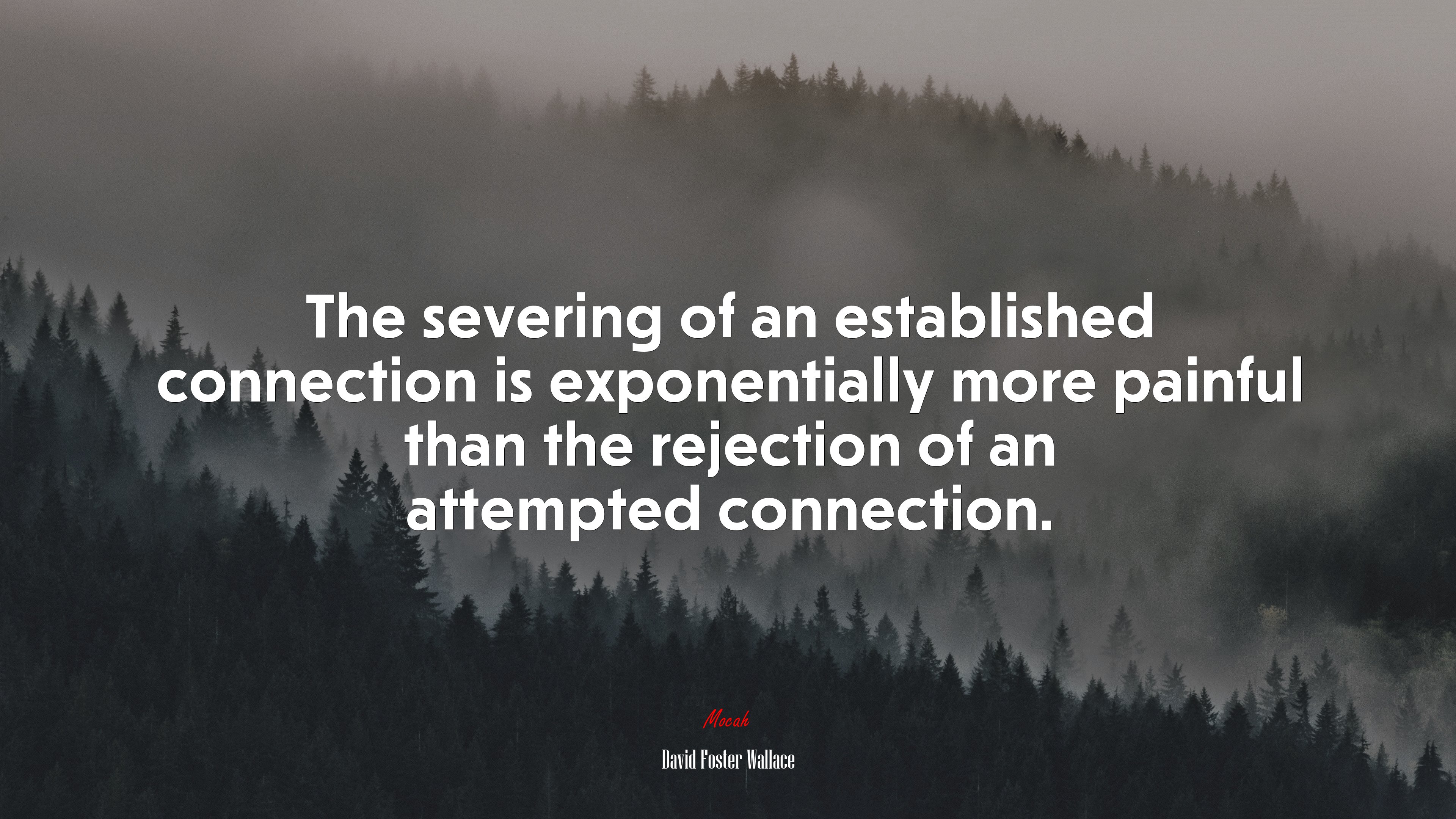 The severing of an established connection is exponentially more painful than the rejection of an attempted connection. | David Foster Wallace quote HD Wallpaper