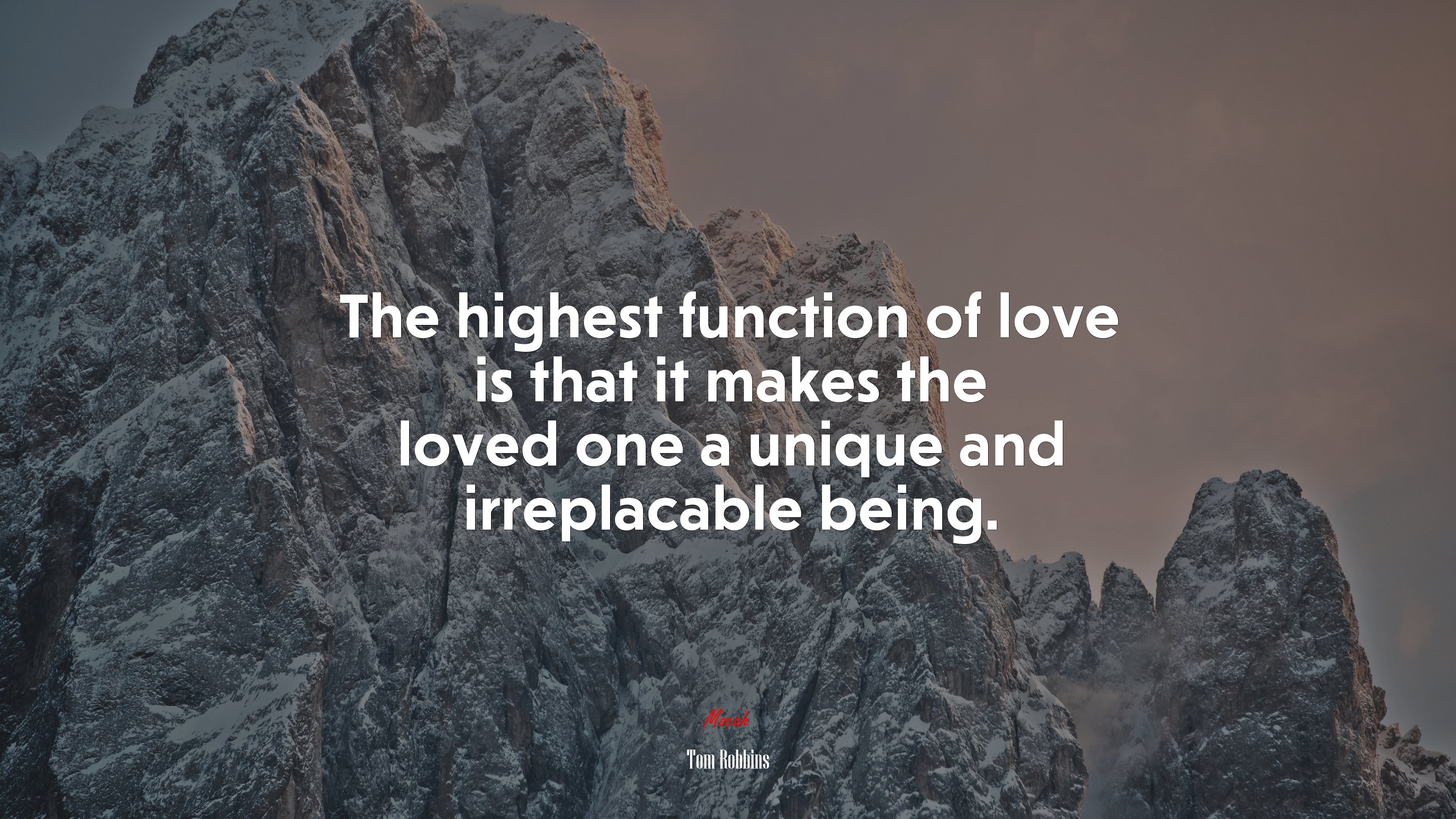 The highest function of love is that it makes the loved one a unique and irreplacable being. | Tom Robbins quote HD Wallpaper