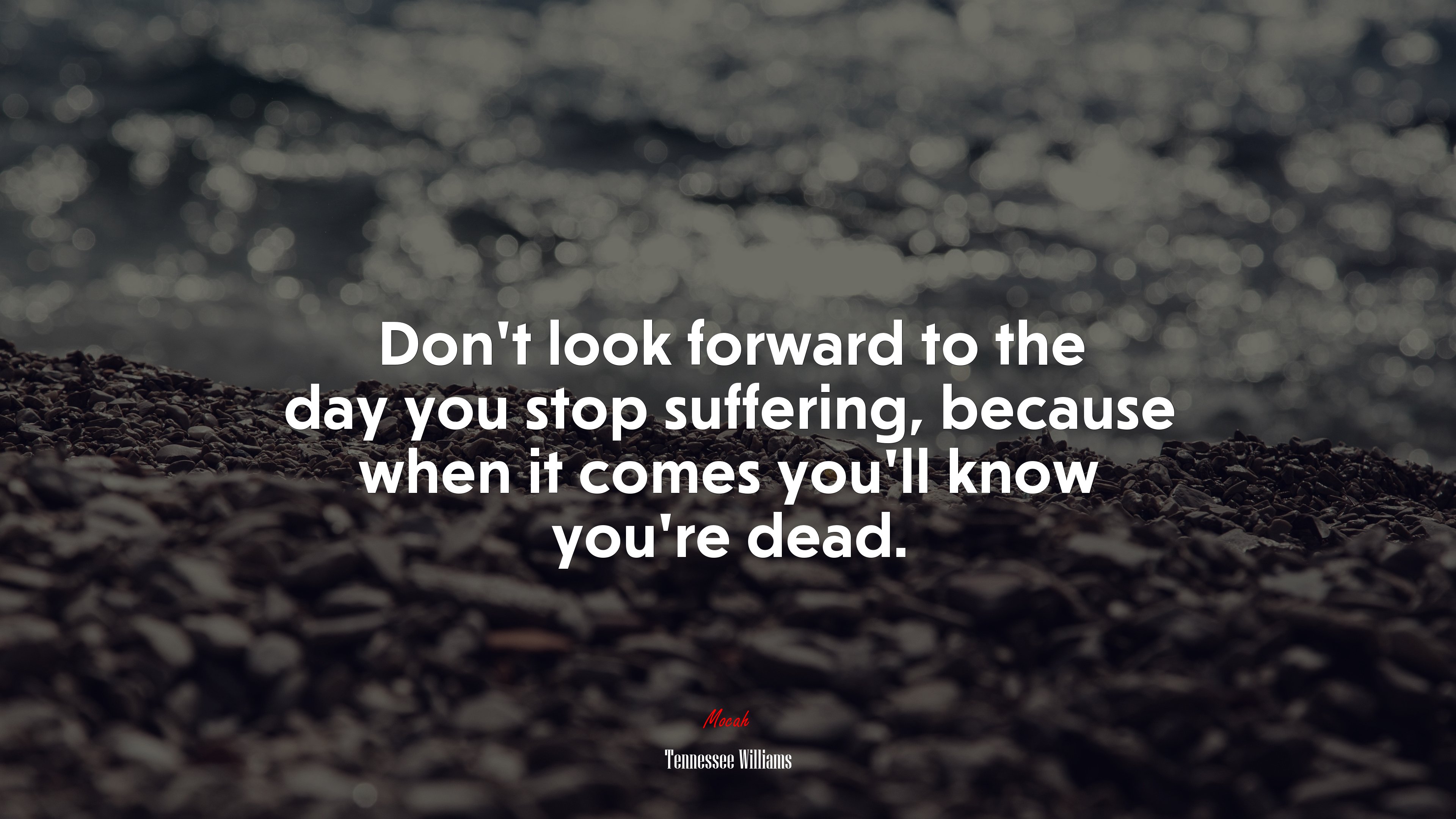 Don’t look forward to the day you stop suffering, because when it comes you’ll know you’re dead. | Tennessee Williams quote HD Wallpaper