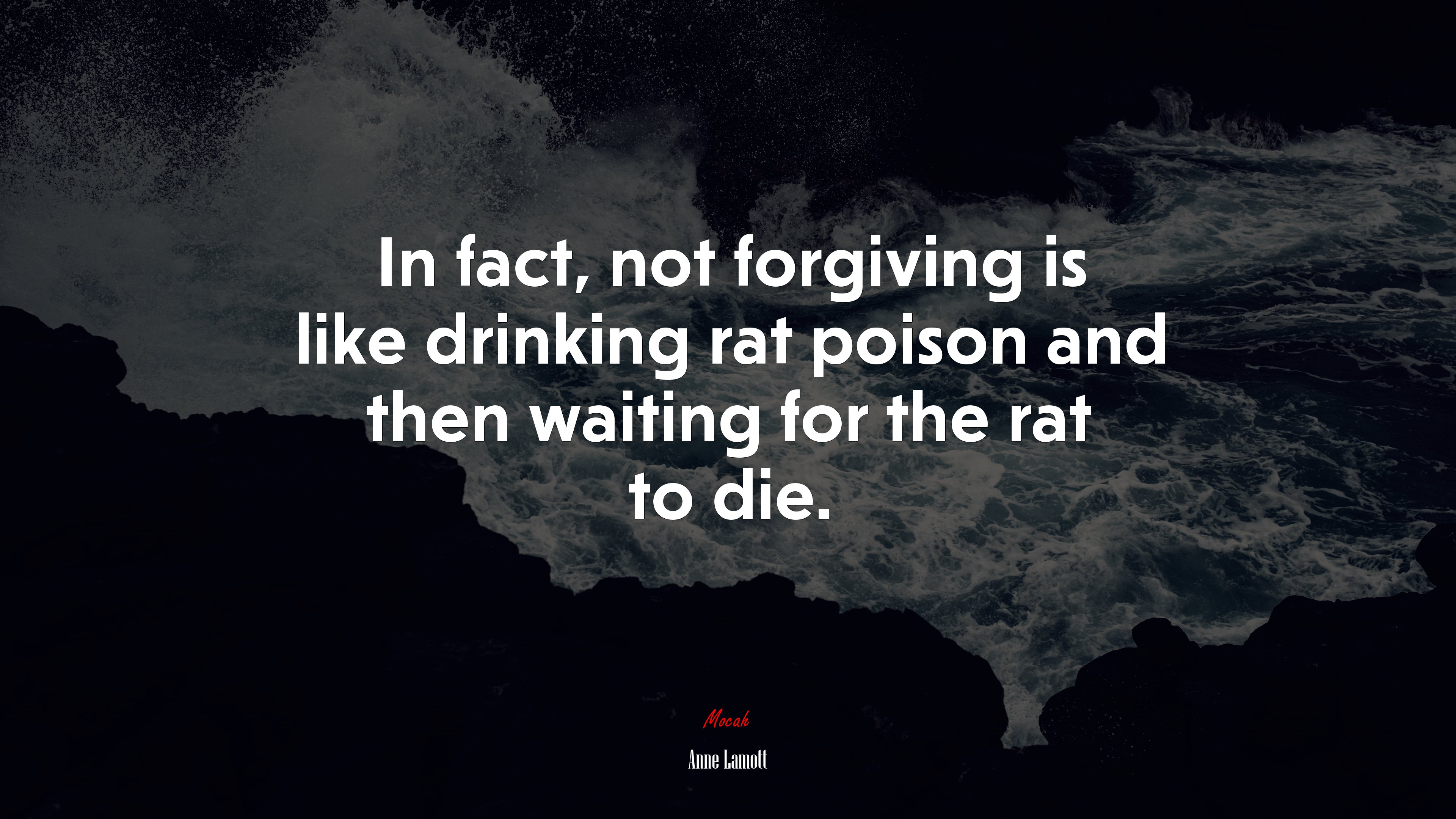 In fact, not forgiving is like drinking rat poison and then waiting for the rat to die. | Anne Lamott quote HD Wallpaper
