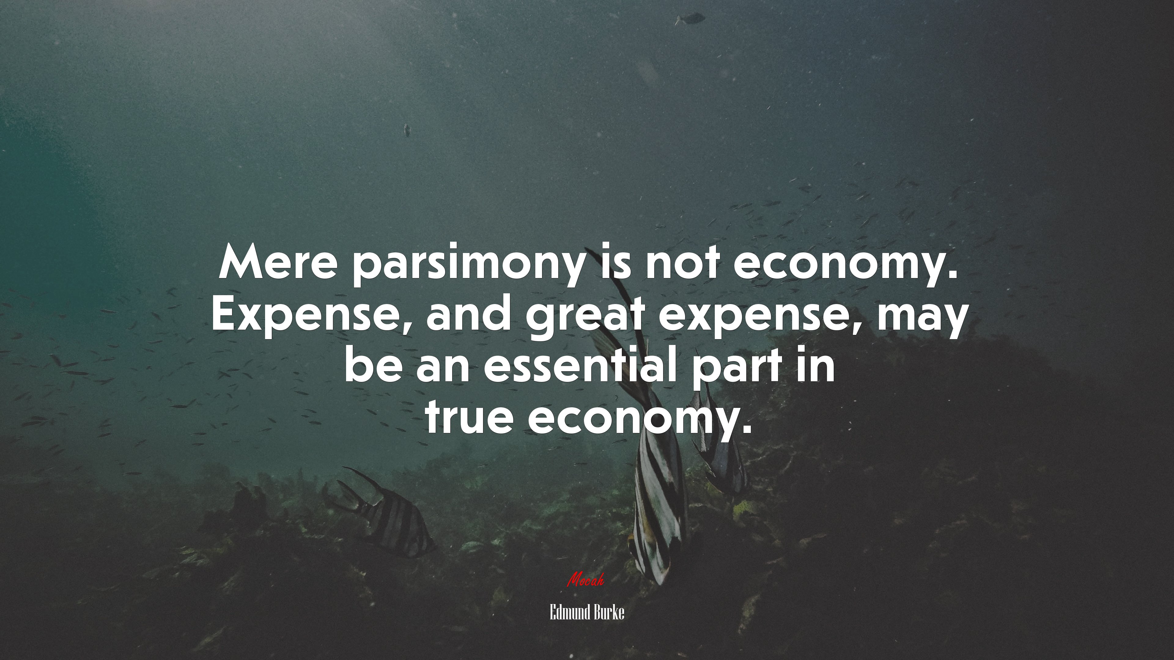 Mere parsimony is not economy. Expense, and great expense, may be an essential part in true economy. | Edmund Burke quote HD Wallpaper