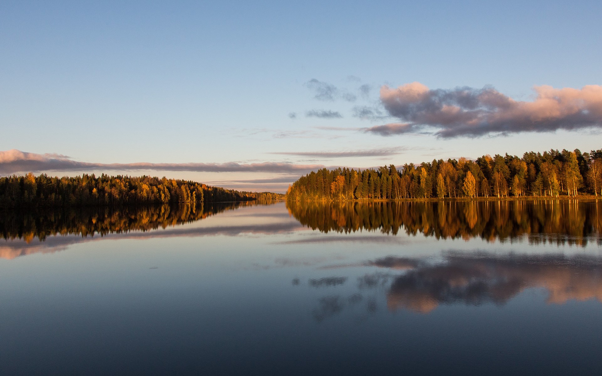 Autumn forest reflected in a calm lake at sunset HD Wallpaper