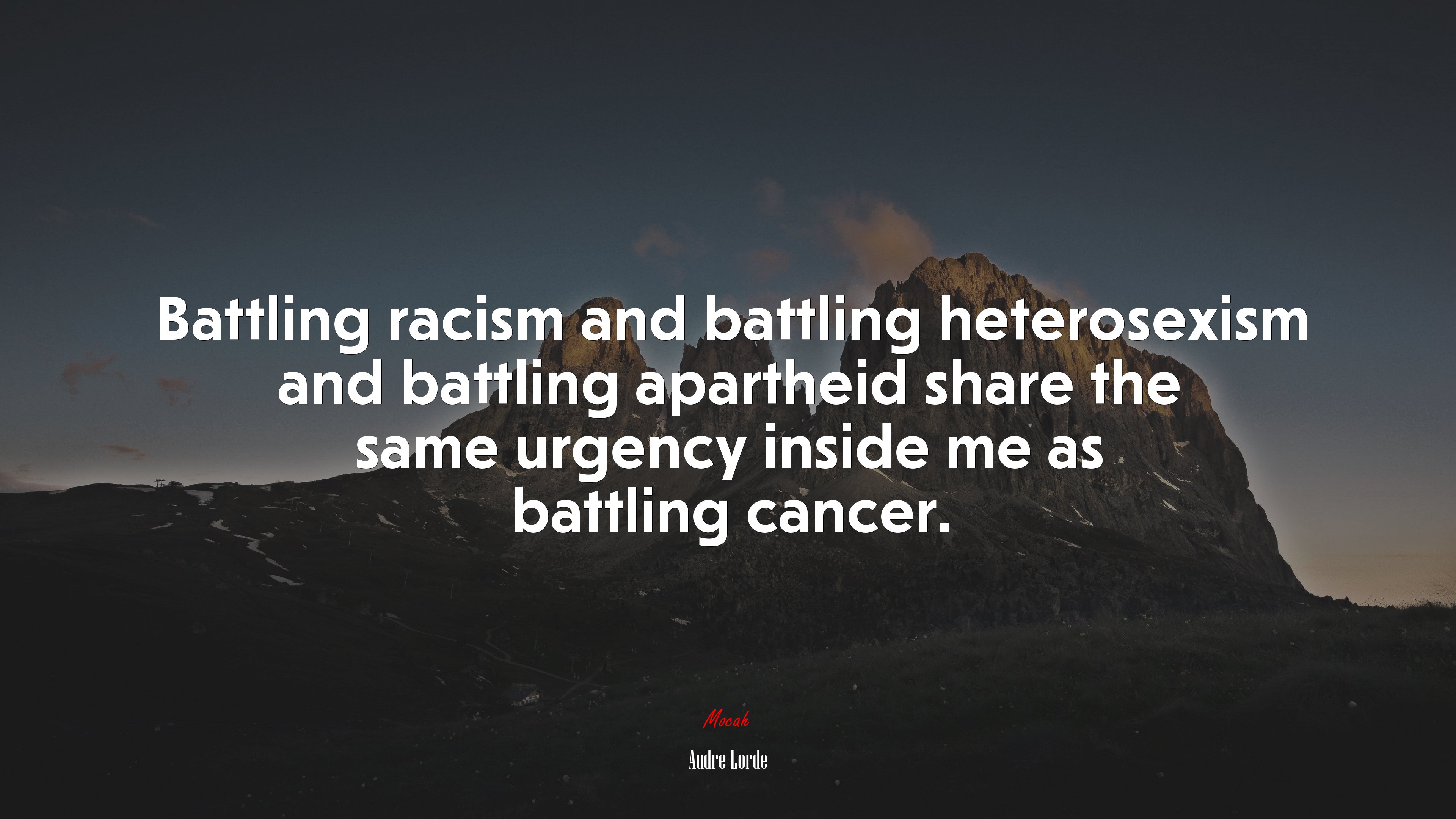 Battling racism and battling heterosexism and battling apartheid share the same urgency inside me as battling cancer. | Audre Lorde quote HD Wallpaper