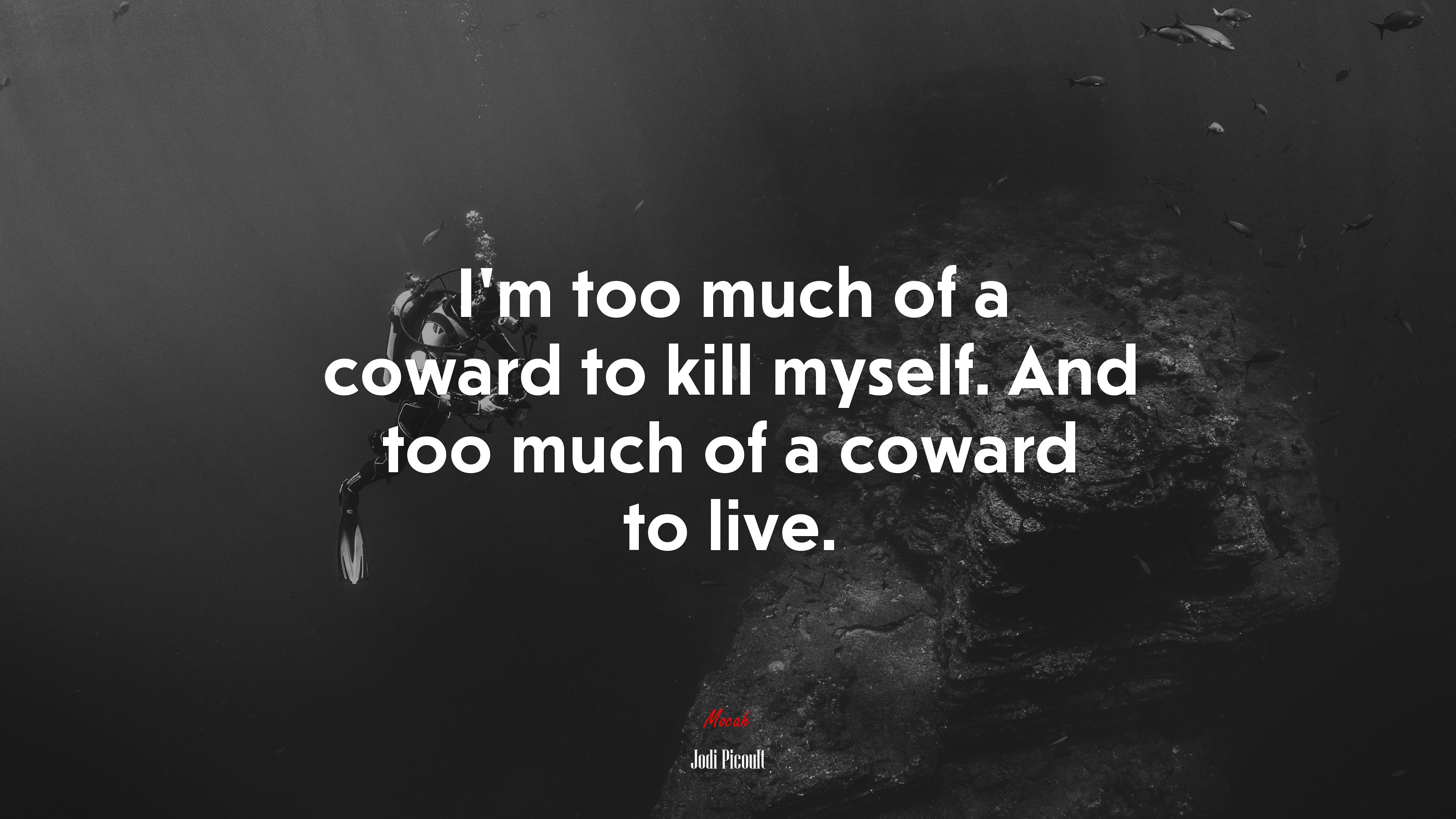 I’m too much of a coward to kill myself. And too much of a coward to live. | Jodi Picoult quote HD Wallpaper
