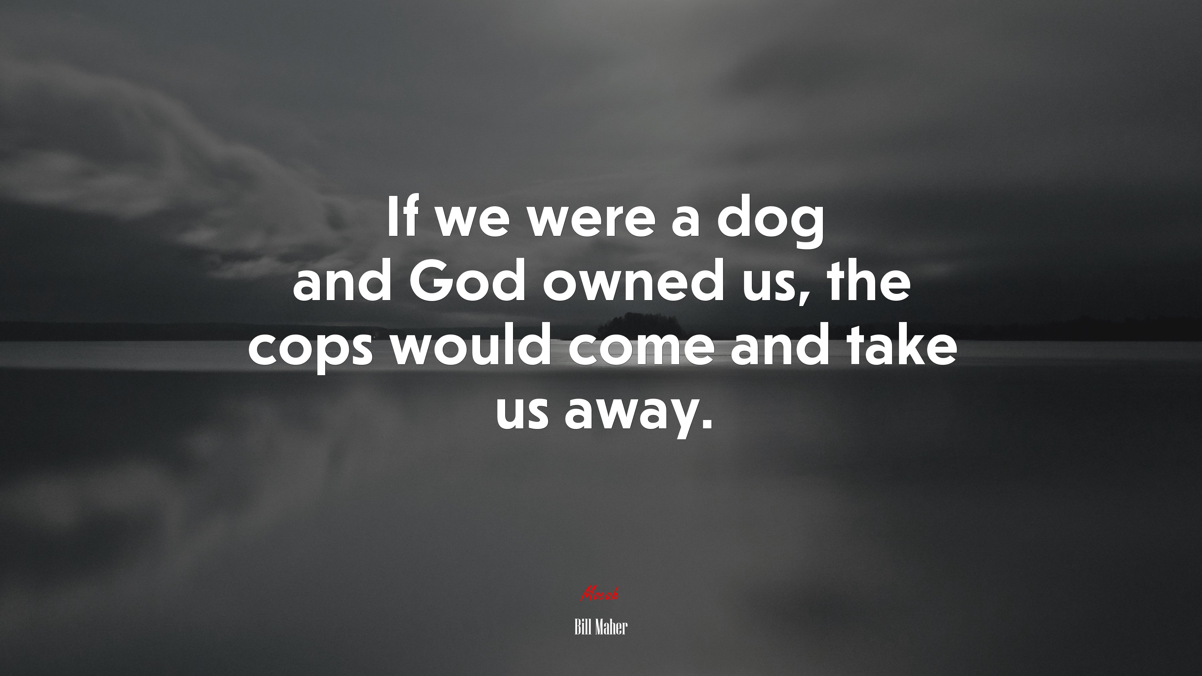 If we were a dog and God owned us, the cops would come and take us away. | Bill Maher quote HD Wallpaper