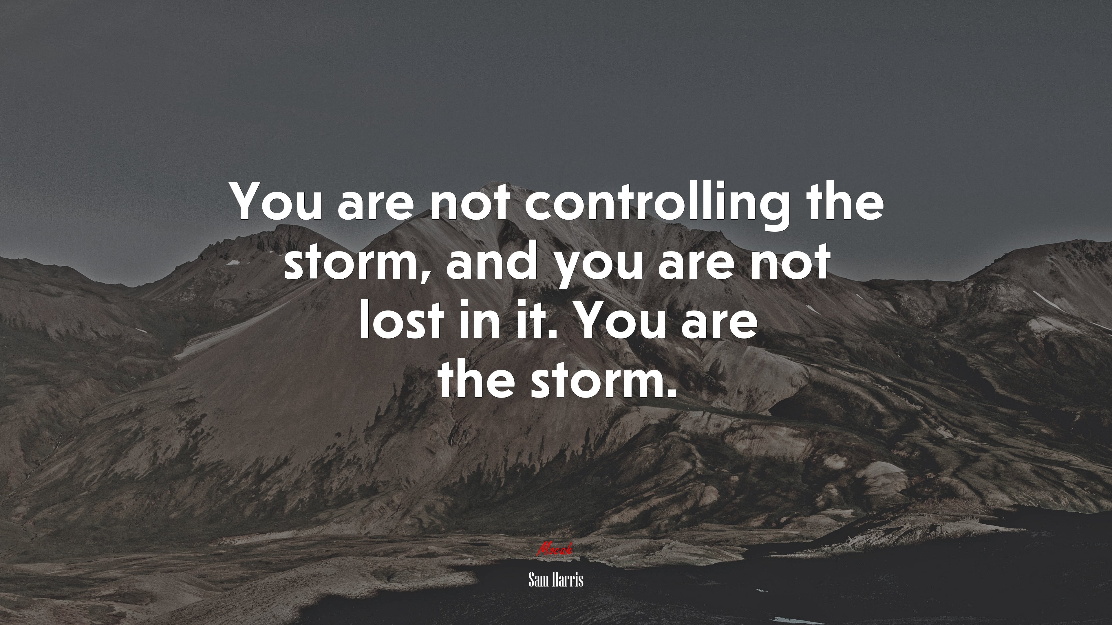 You are not controlling the storm, and you are not lost in it. You are the storm. | Sam Harris quote HD Wallpaper