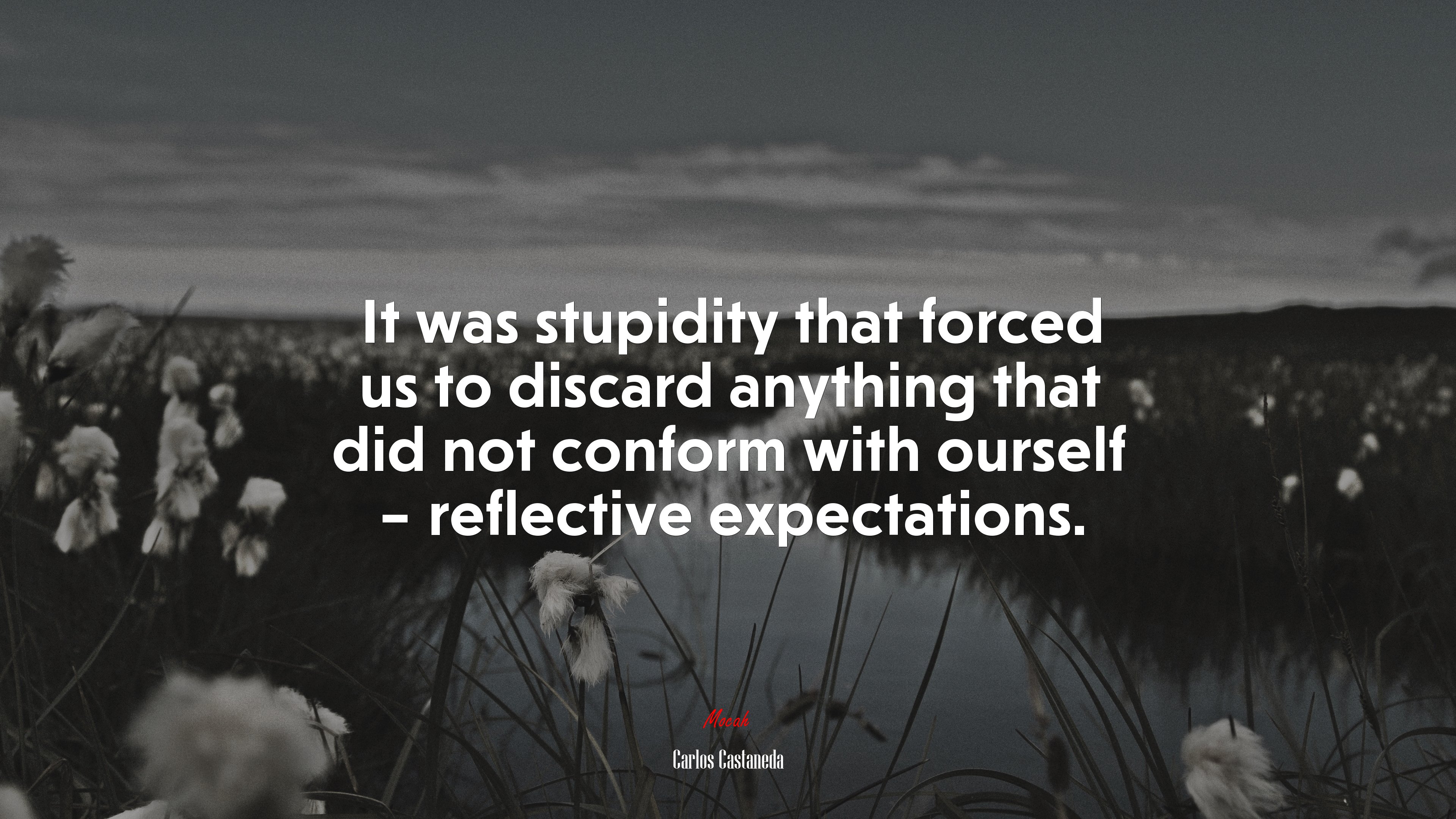 It was stupidity that forced us to discard anything that did not conform with ourself – reflective expectations. | Carlos Castaneda quote HD Wallpaper