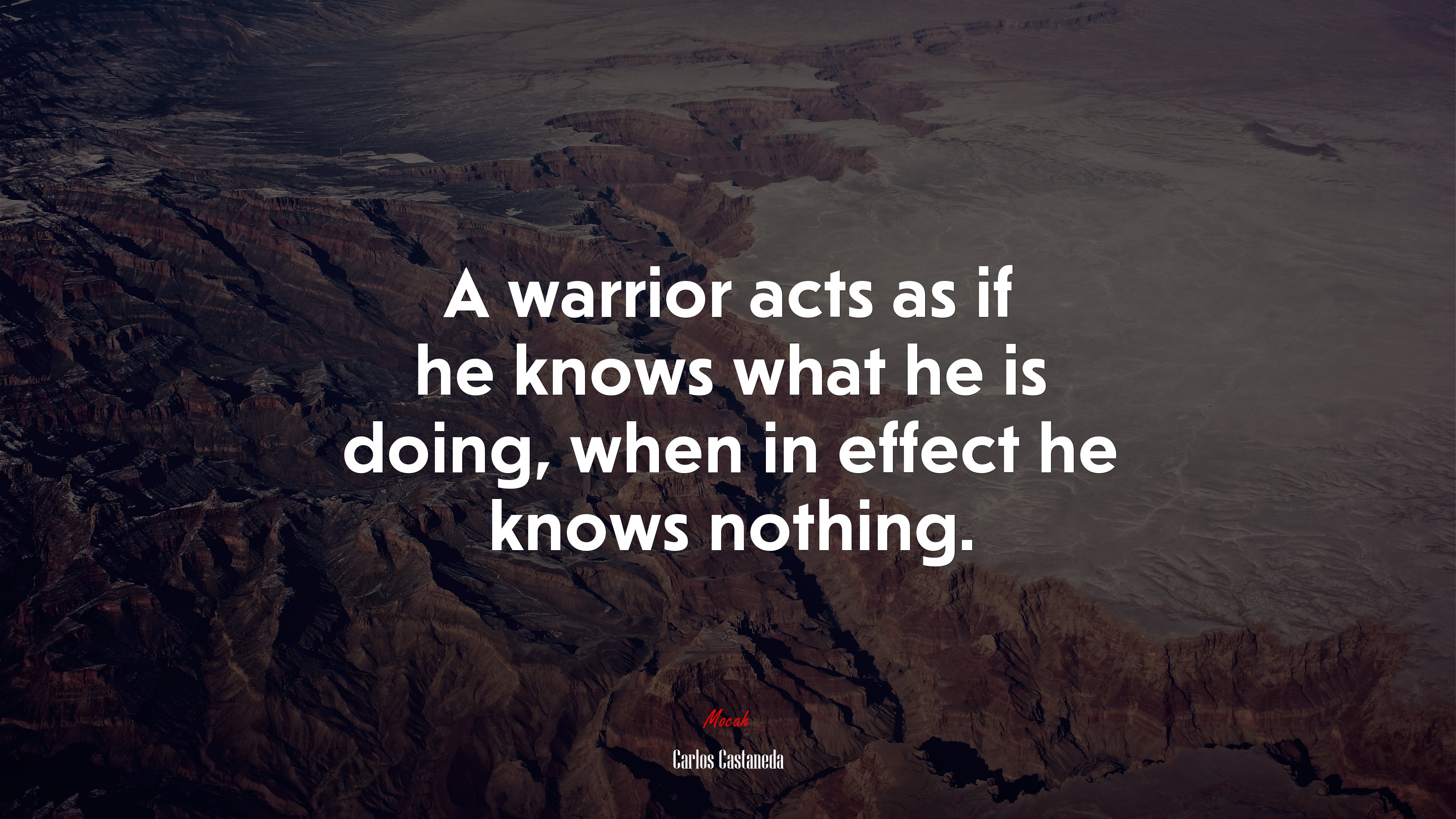 A warrior acts as if he knows what he is doing, when in effect he knows nothing. | Carlos Castaneda quote HD Wallpaper