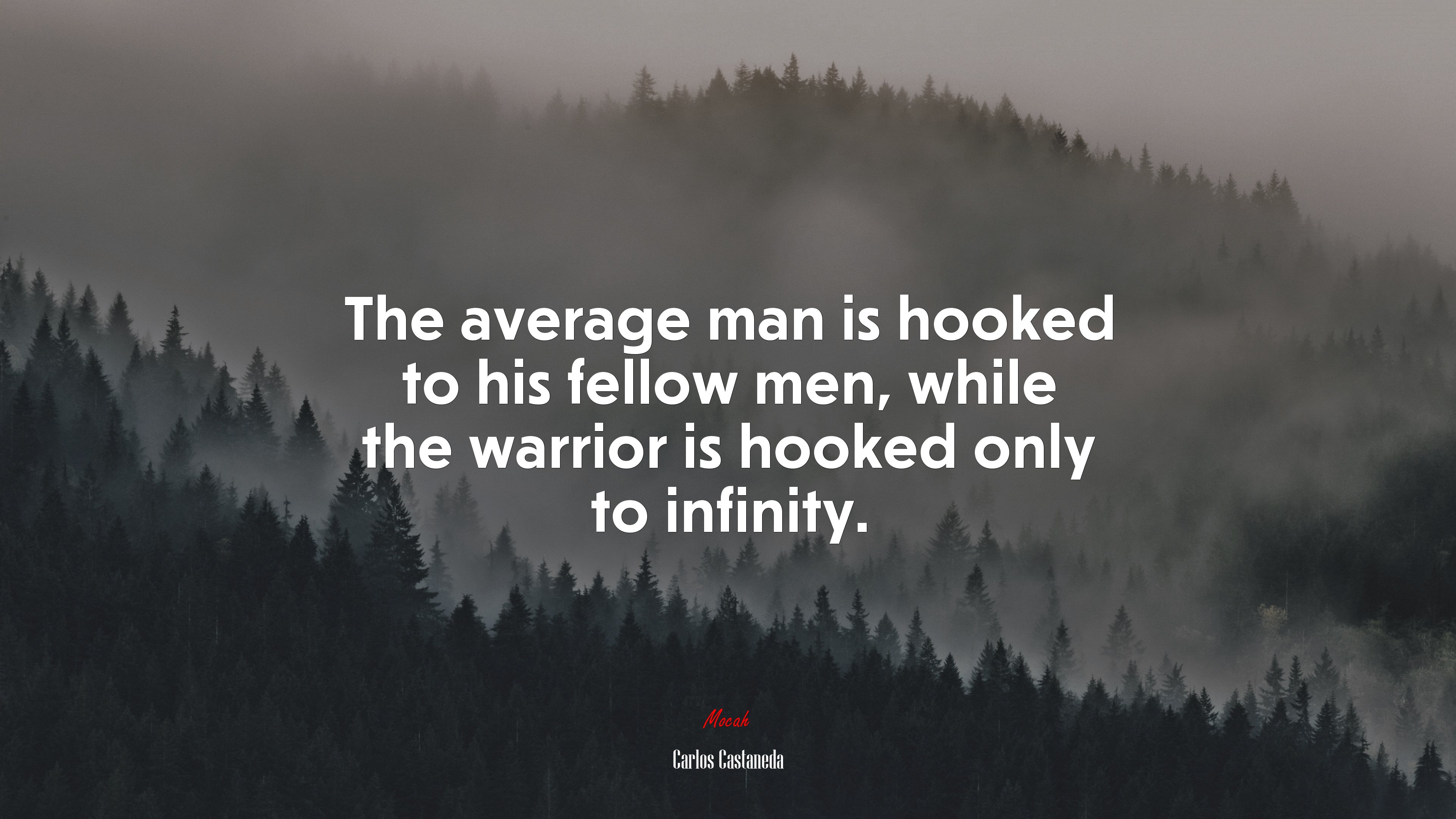 The average man is hooked to his fellow men, while the warrior is hooked only to infinity. | Carlos Castaneda quote HD Wallpaper