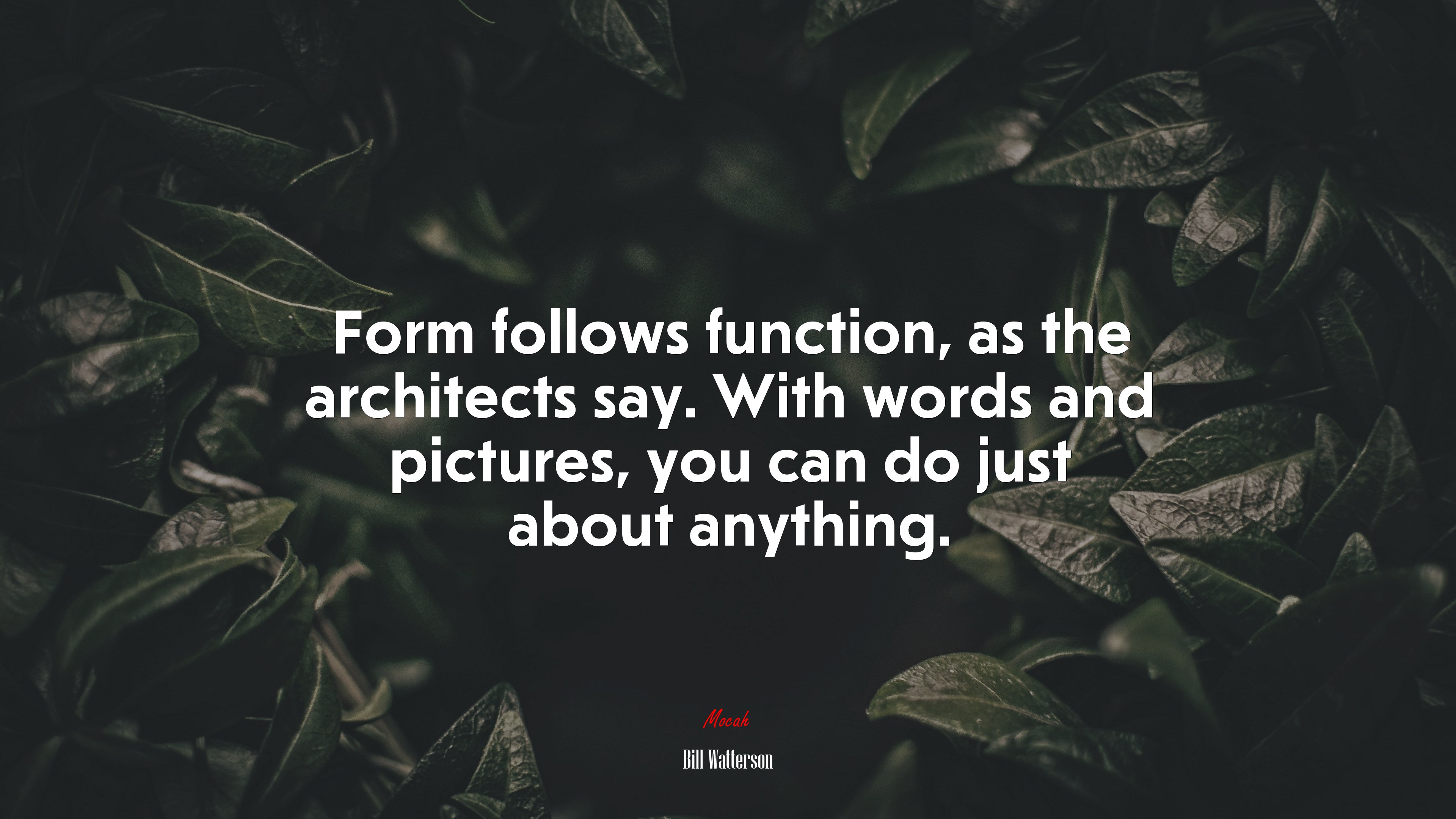 Form follows function, as the architects say. With words and pictures, you can do just about anything. | Bill Watterson quote HD Wallpaper