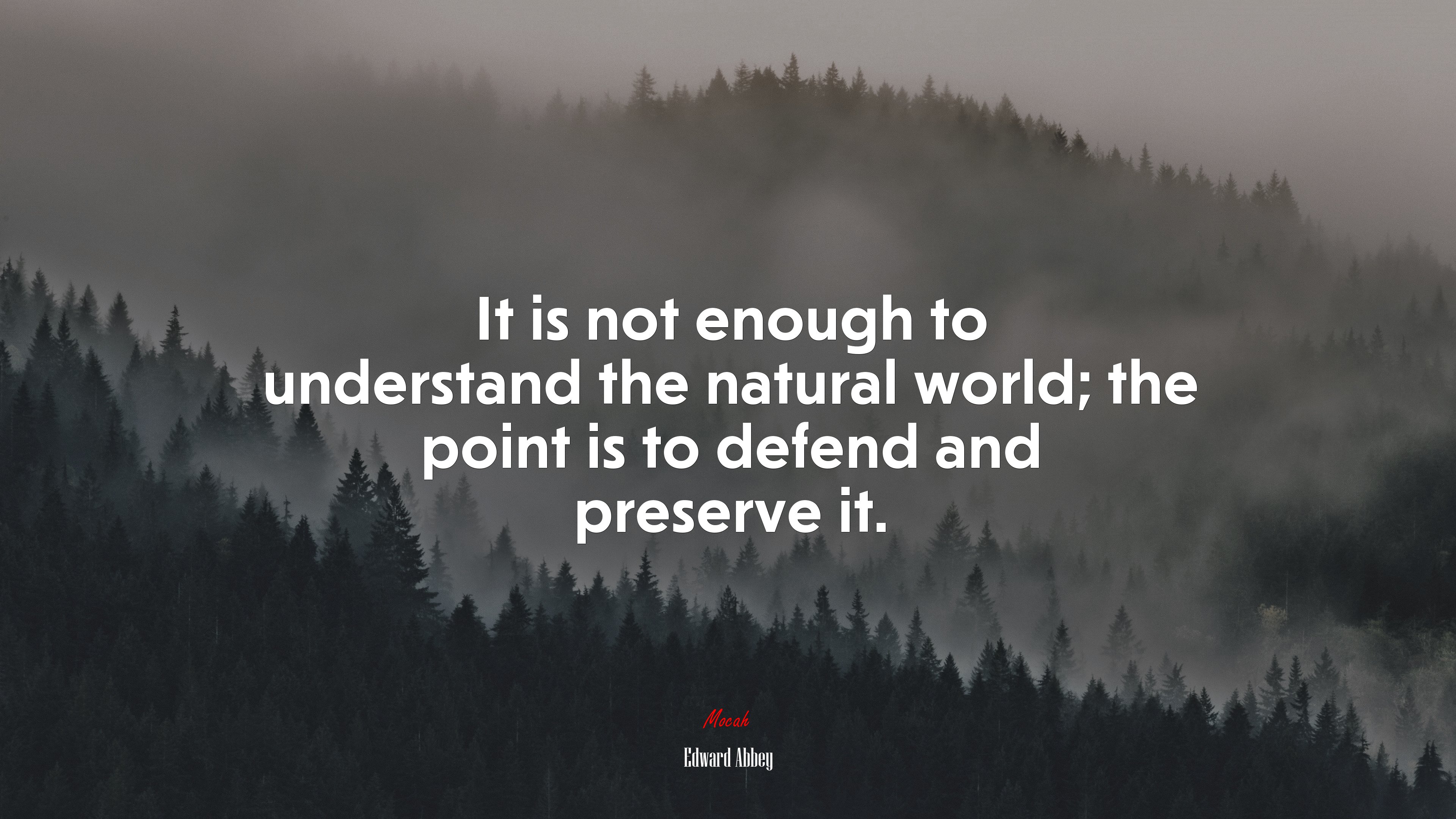 It is not enough to understand the natural world; the point is to defend and preserve it. | Edward Abbey quote HD Wallpaper