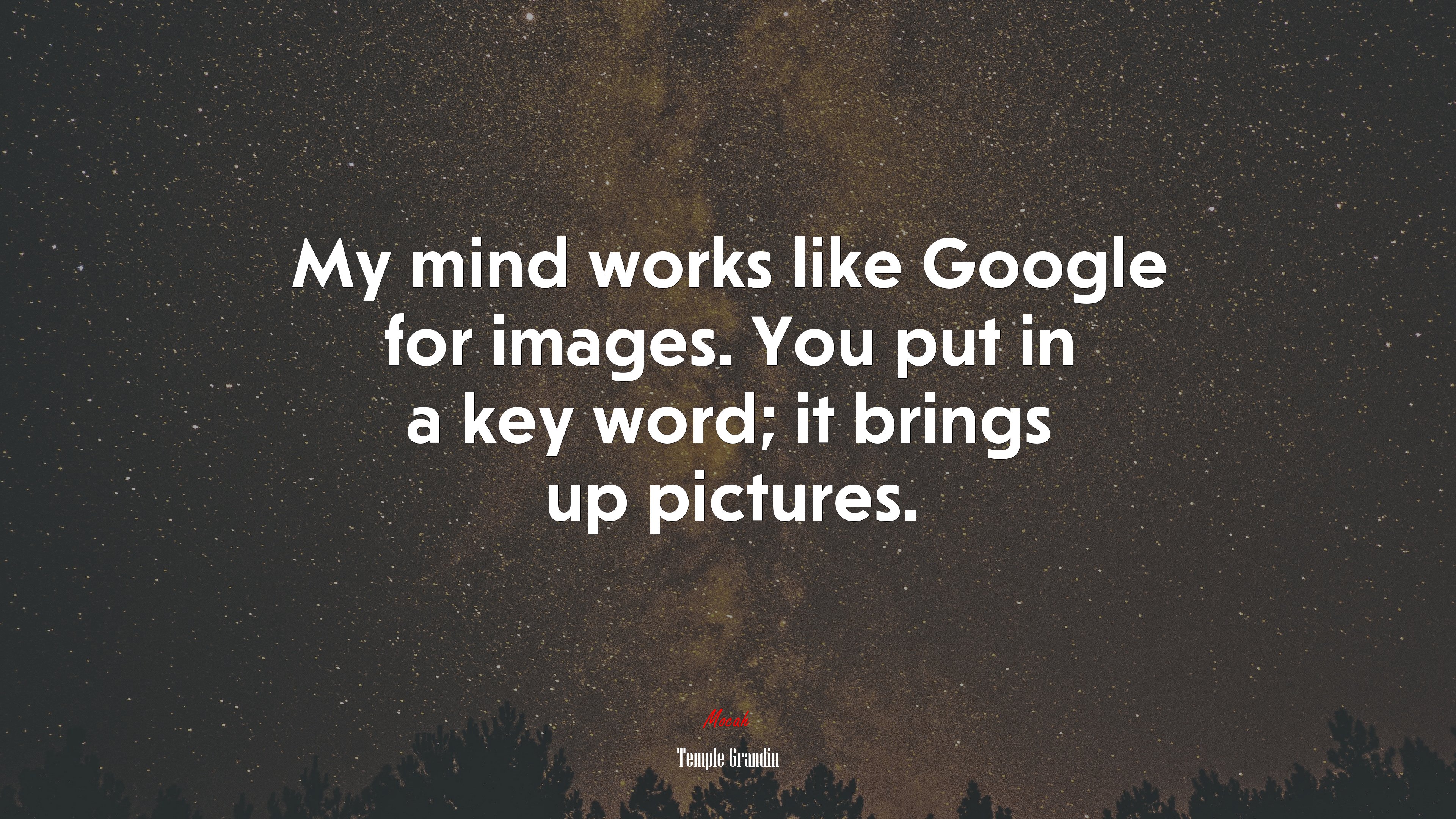 My mind works like Google for images. You put in a key word; it brings up pictures. | Temple Grandin quote HD Wallpaper