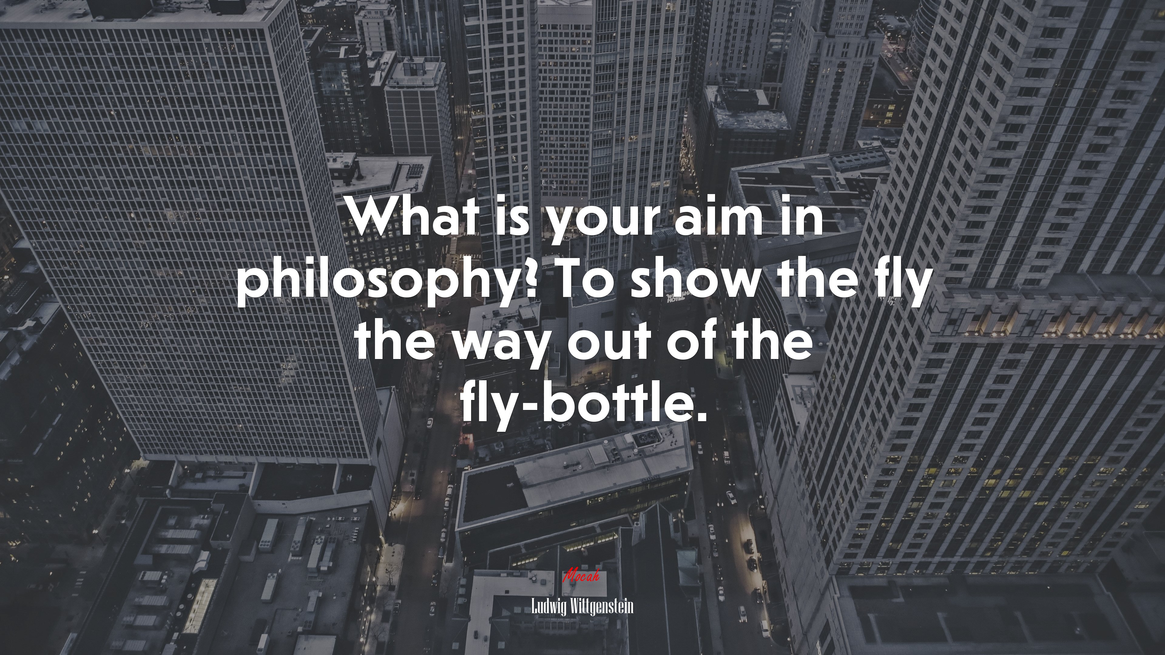What is your aim in philosophy? To show the fly the way out of the fly-bottle. | Ludwig Wittgenstein quote HD Wallpaper
