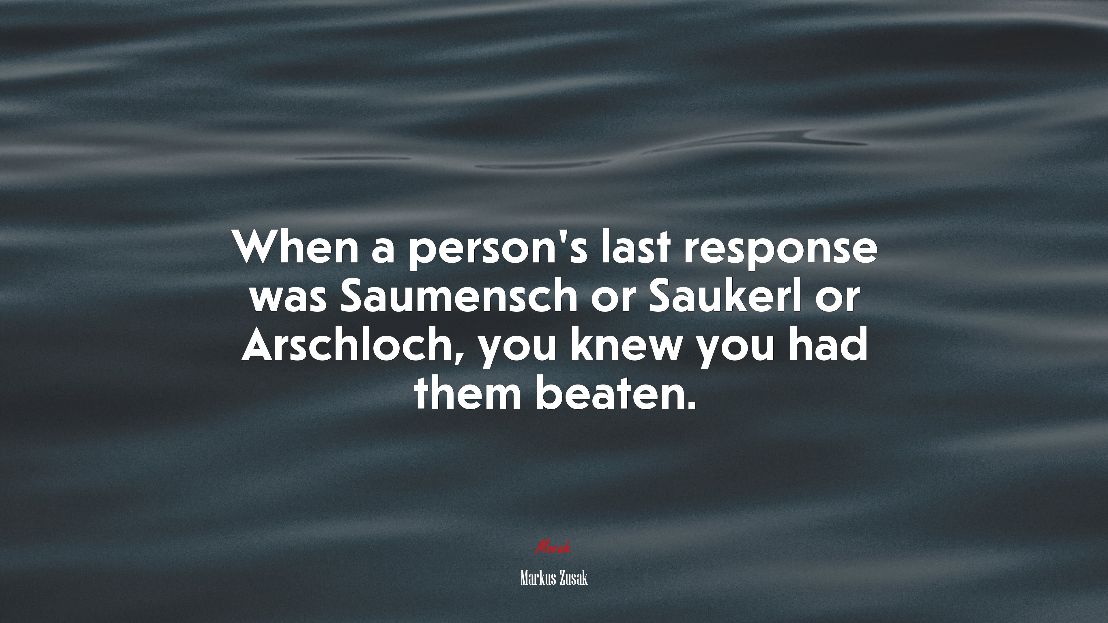 When a person’s last response was Saumensch or Saukerl or Arschloch, you knew you had them beaten. | Markus Zusak quote HD Wallpaper