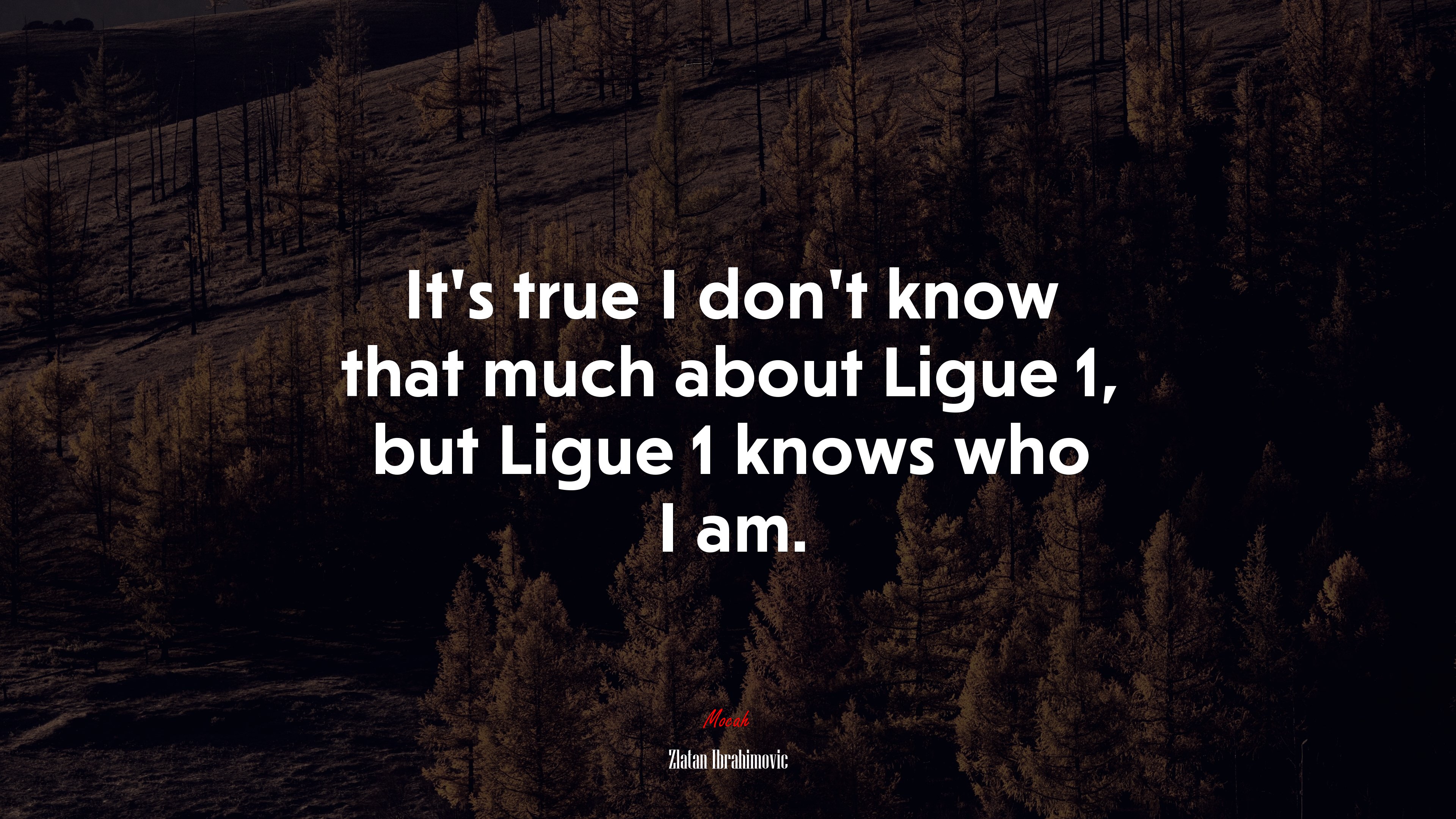 It’s true I don’t know that much about Ligue 1, but Ligue 1 knows who I am. | Zlatan Ibrahimovic quote HD Wallpaper