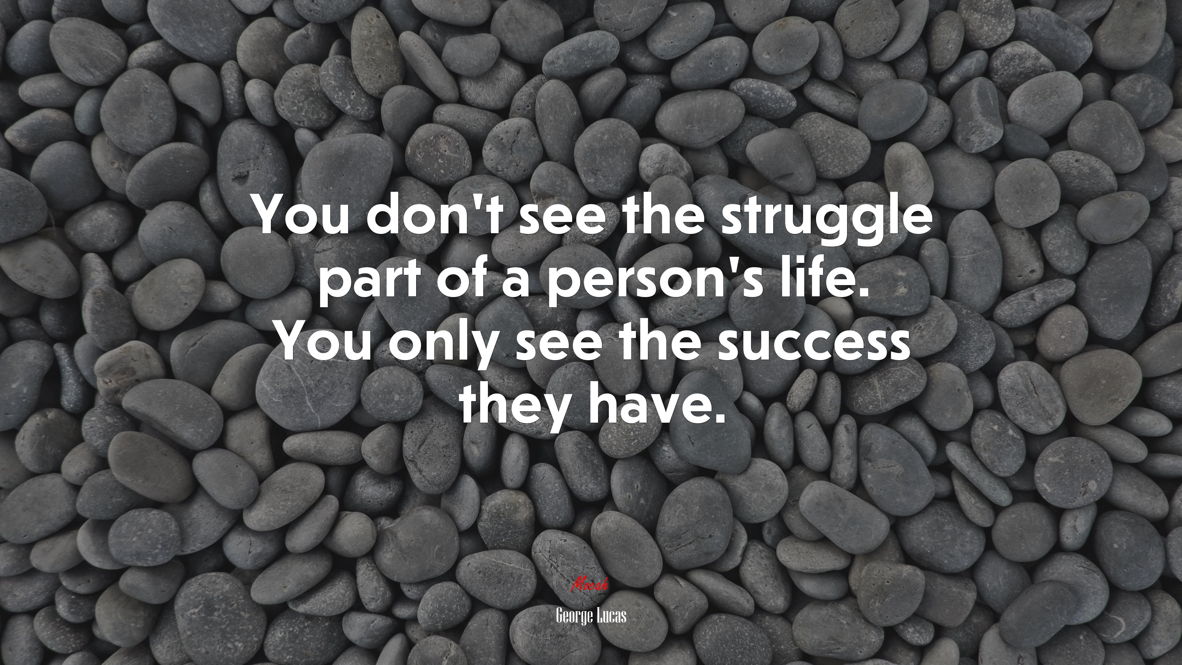 You don’t see the struggle part of a person’s life. You only see the success they have. | George Lucas quote HD Wallpaper