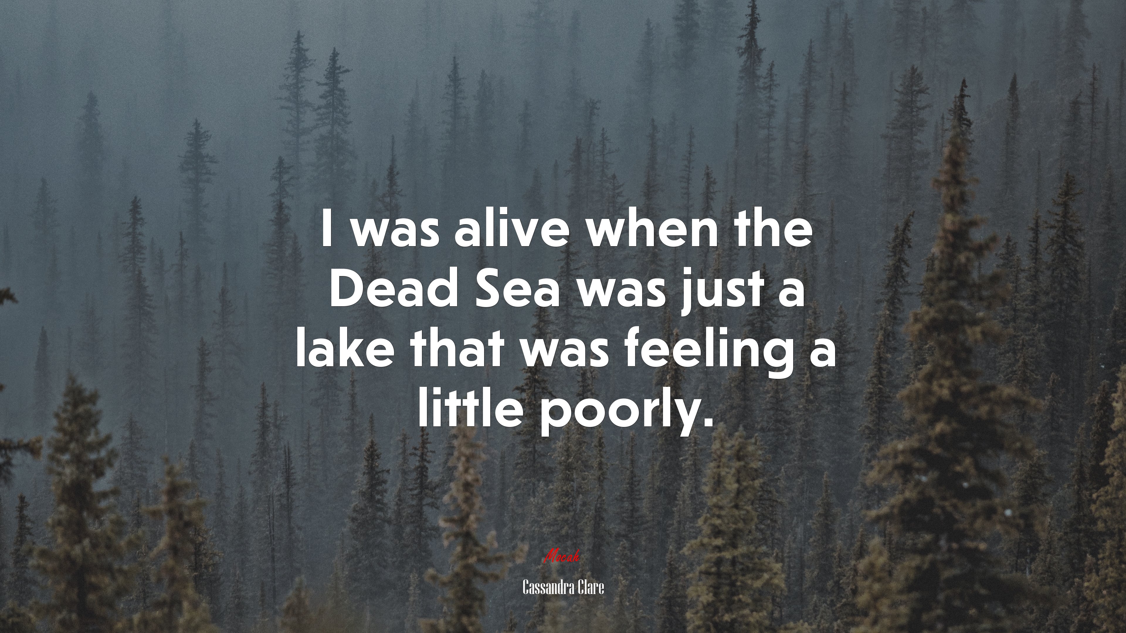 I was alive when the Dead Sea was just a lake that was feeling a little poorly. | Cassandra Clare quote HD Wallpaper