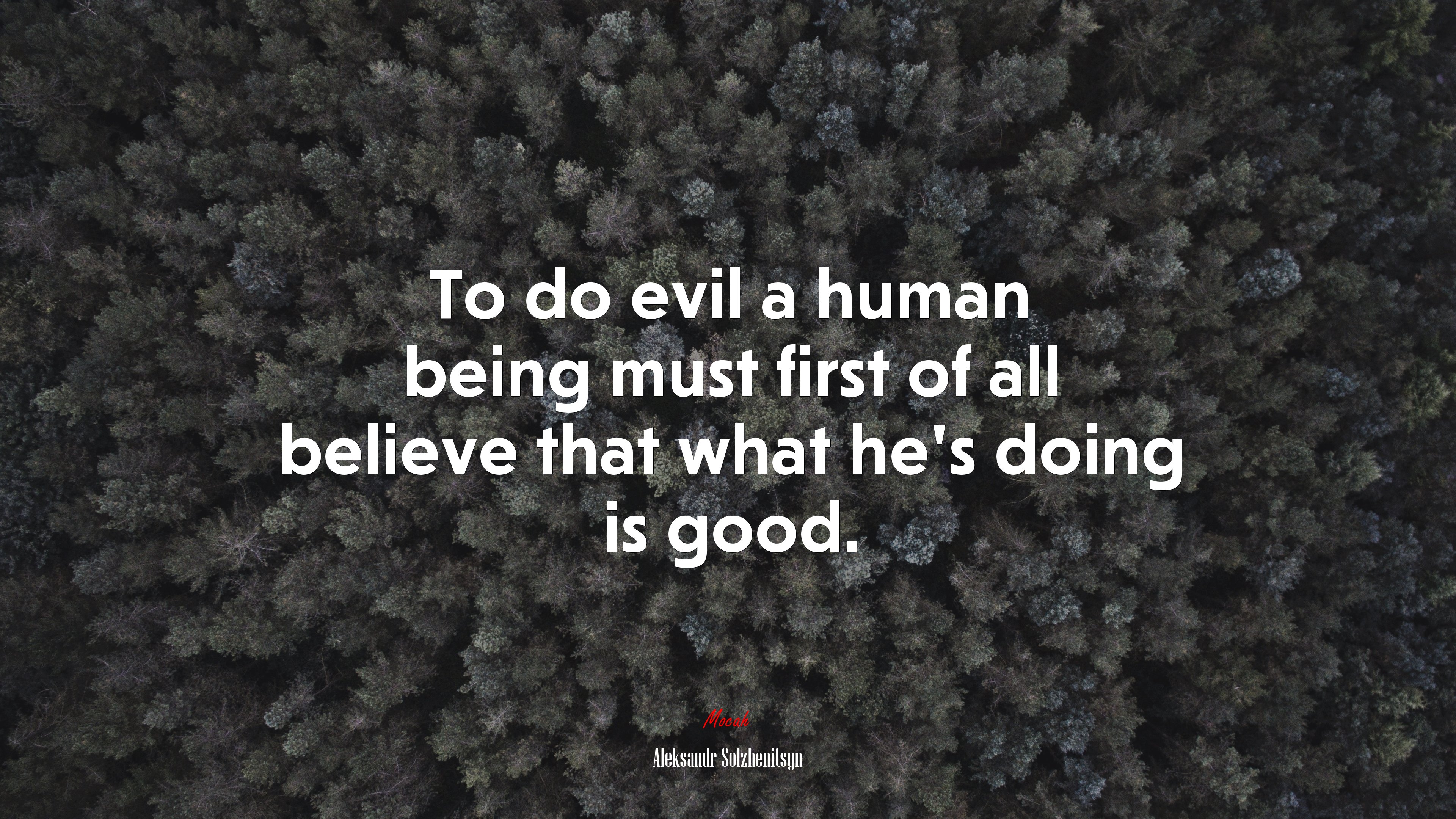 To do evil a human being must first of all believe that what he’s doing is good. | Aleksandr Solzhenitsyn quote HD Wallpaper