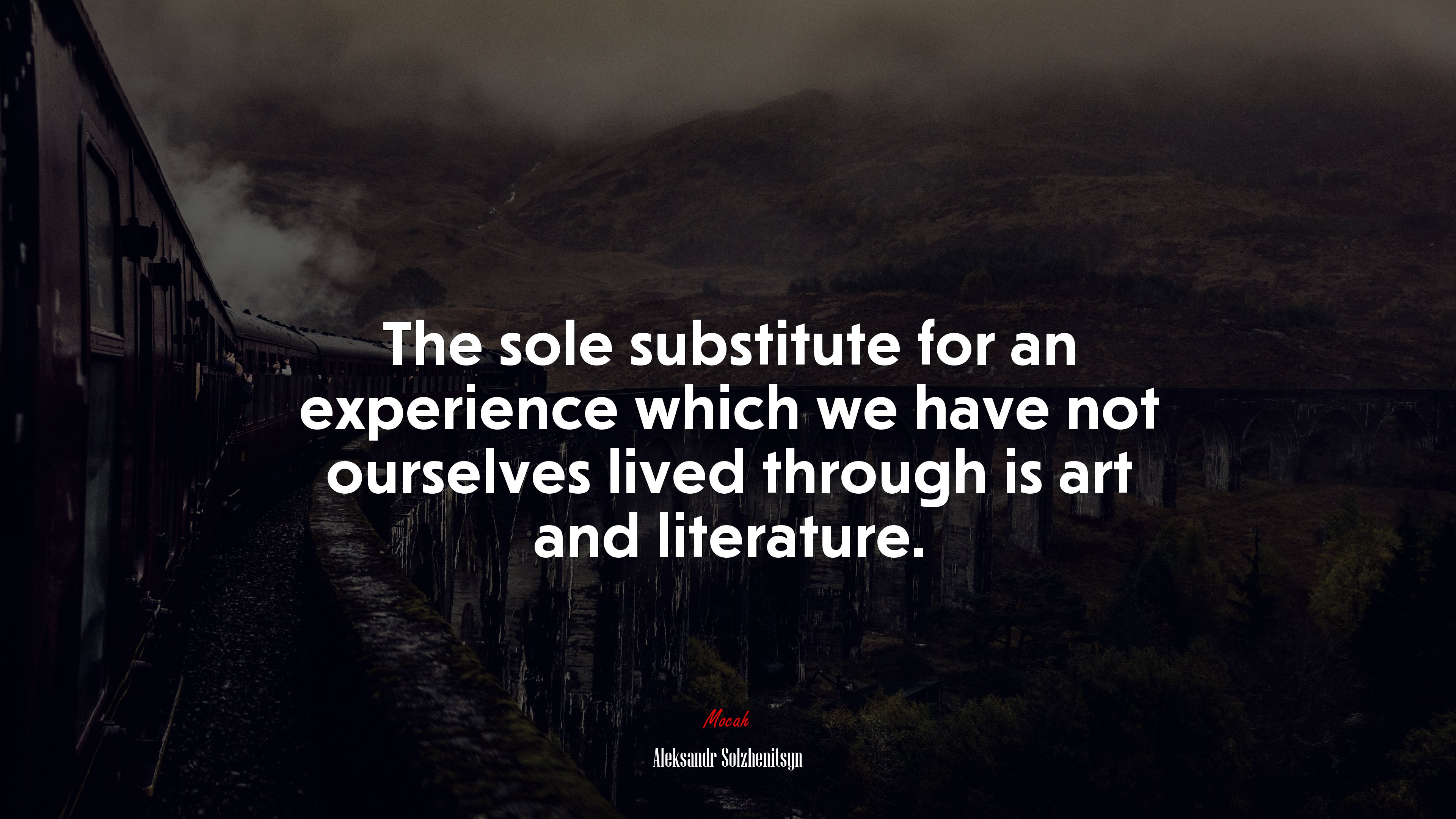 The sole substitute for an experience which we have not ourselves lived through is art and literature. | Aleksandr Solzhenitsyn quote HD Wallpaper