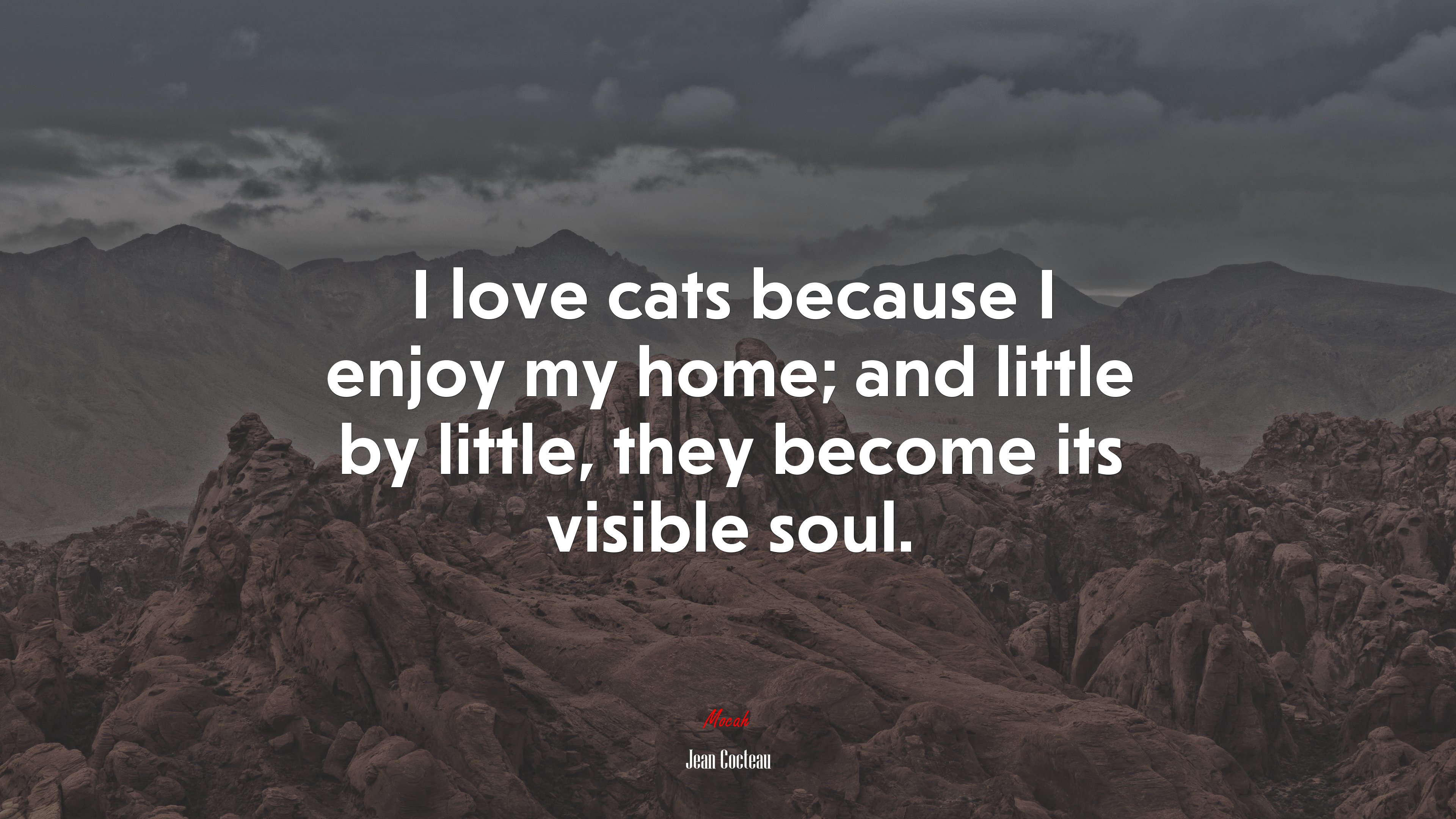 I love cats because I enjoy my home; and little by little, they become its visible soul. | Jean Cocteau quote HD Wallpaper