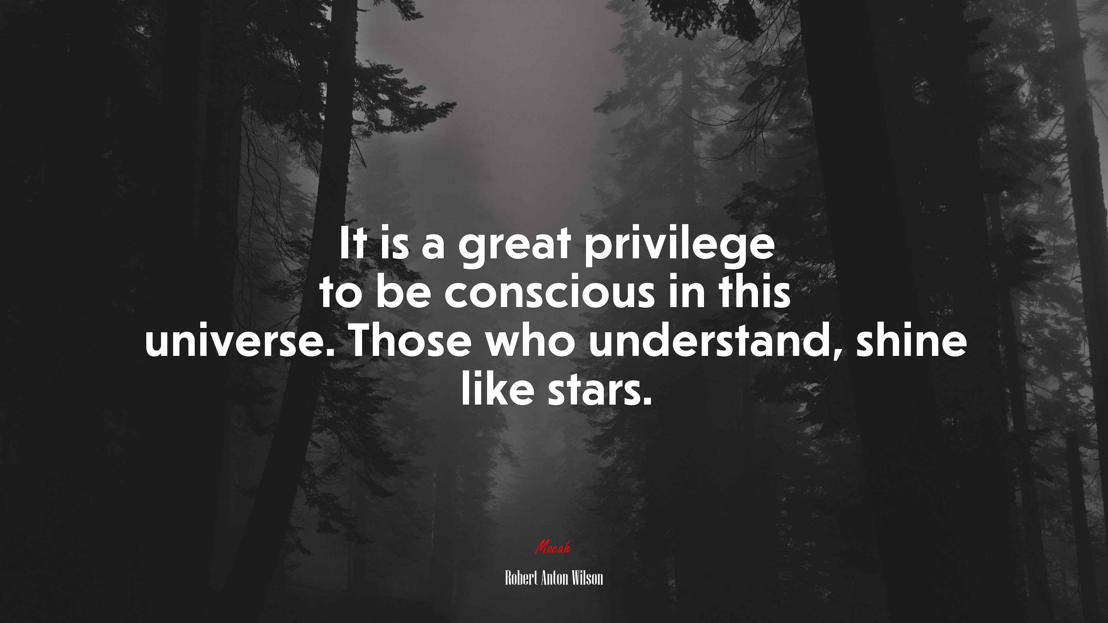 It is a great privilege to be conscious in this universe. Those who understand, shine like stars. | Robert Anton Wilson quote HD Wallpaper