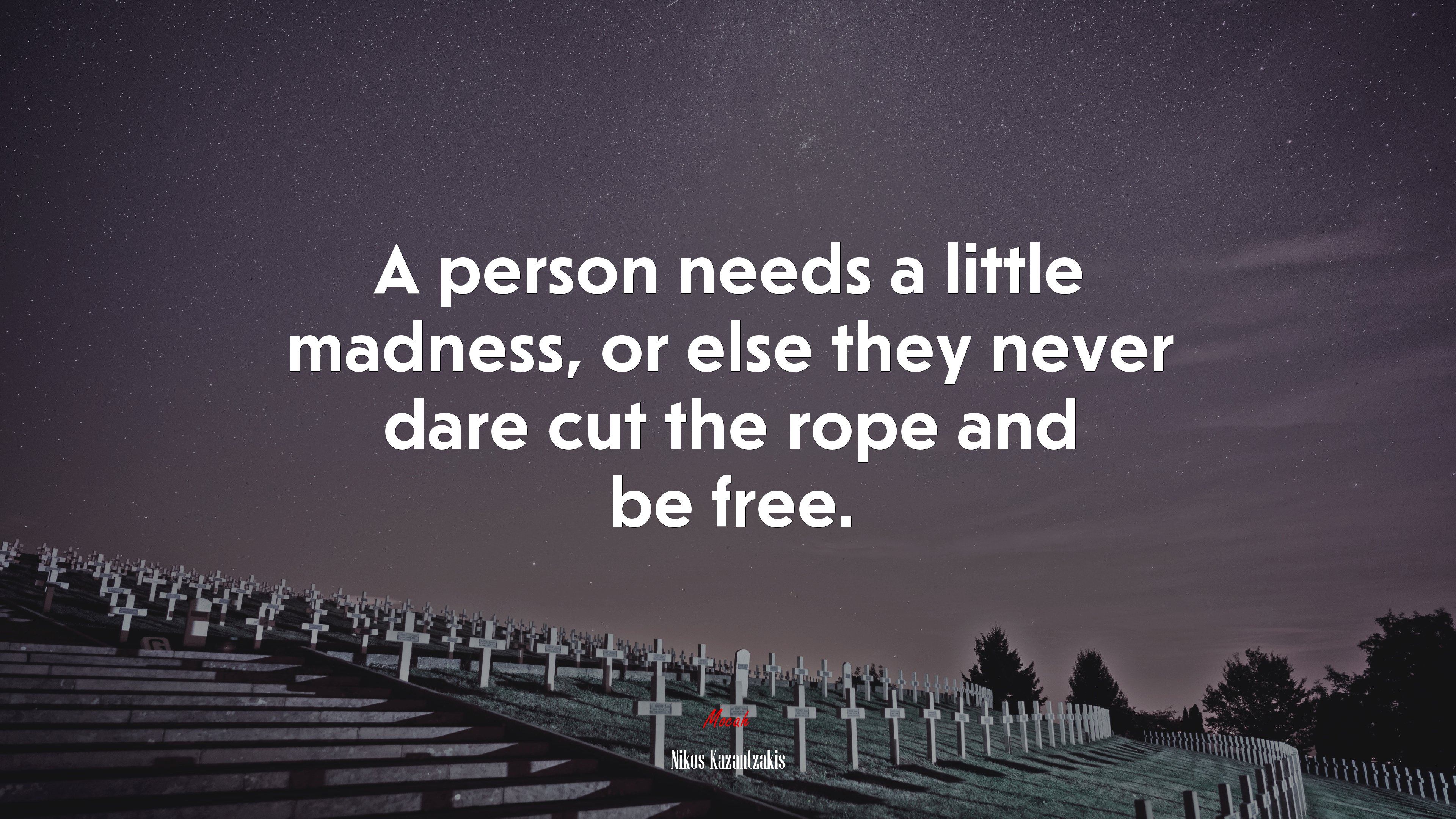 A person needs a little madness, or else they never dare cut the rope and be free. | Nikos Kazantzakis quote HD Wallpaper