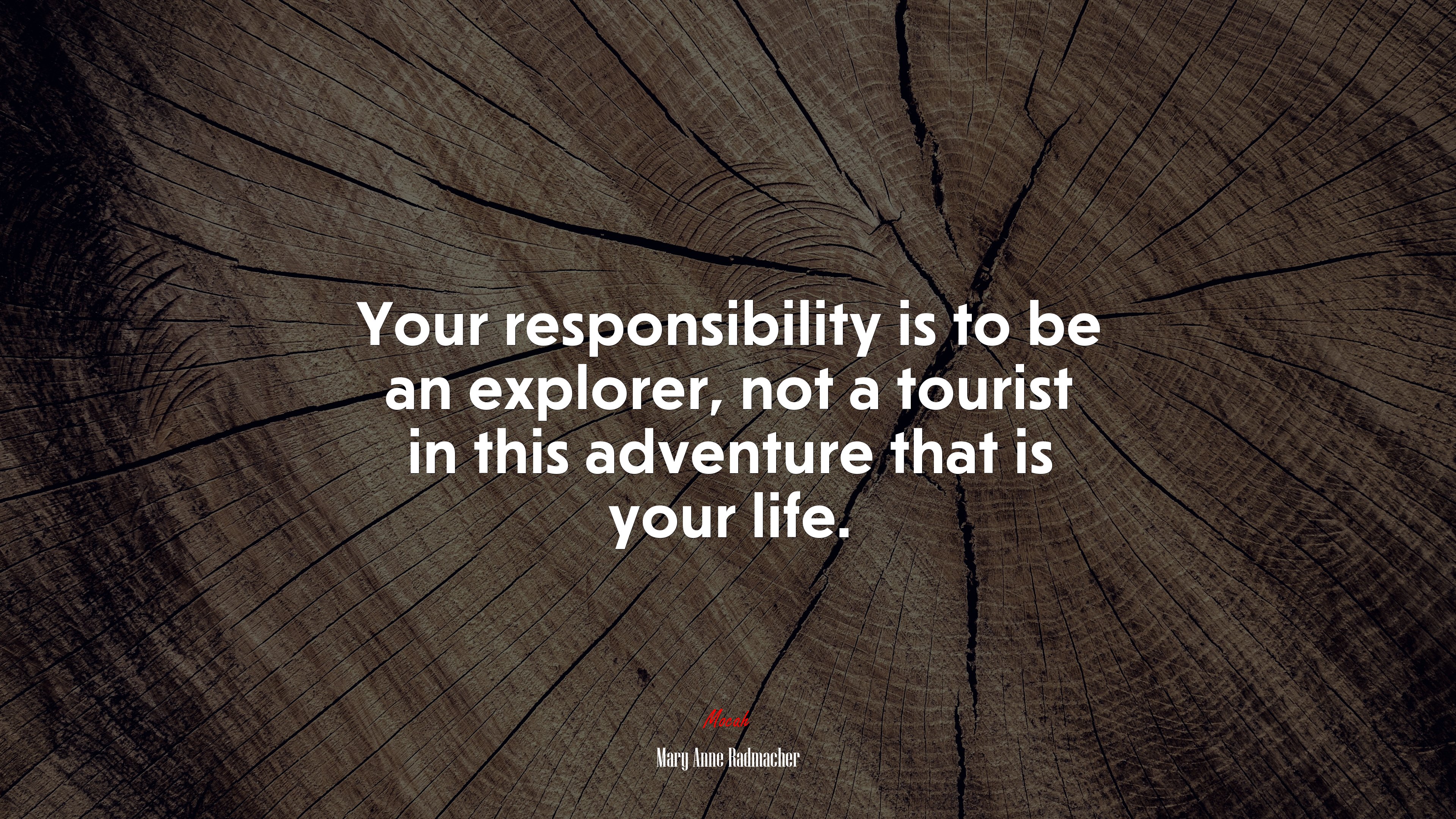 Your responsibility is to be an explorer, not a tourist in this adventure that is your life. | Mary Anne Radmacher quote HD Wallpaper