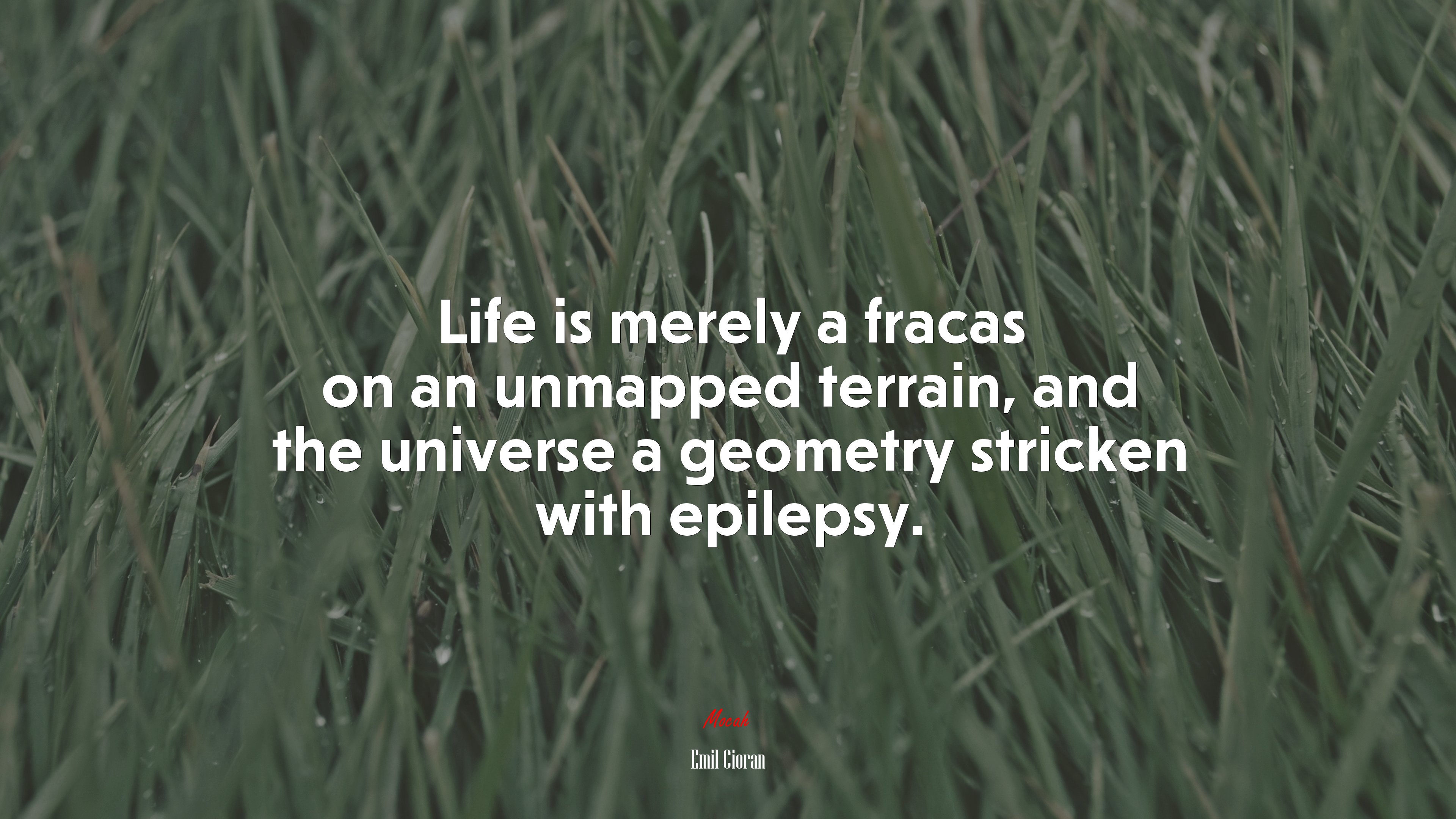 Life is merely a fracas on an unmapped terrain, and the universe a geometry stricken with epilepsy. | Emil Cioran quote HD Wallpaper