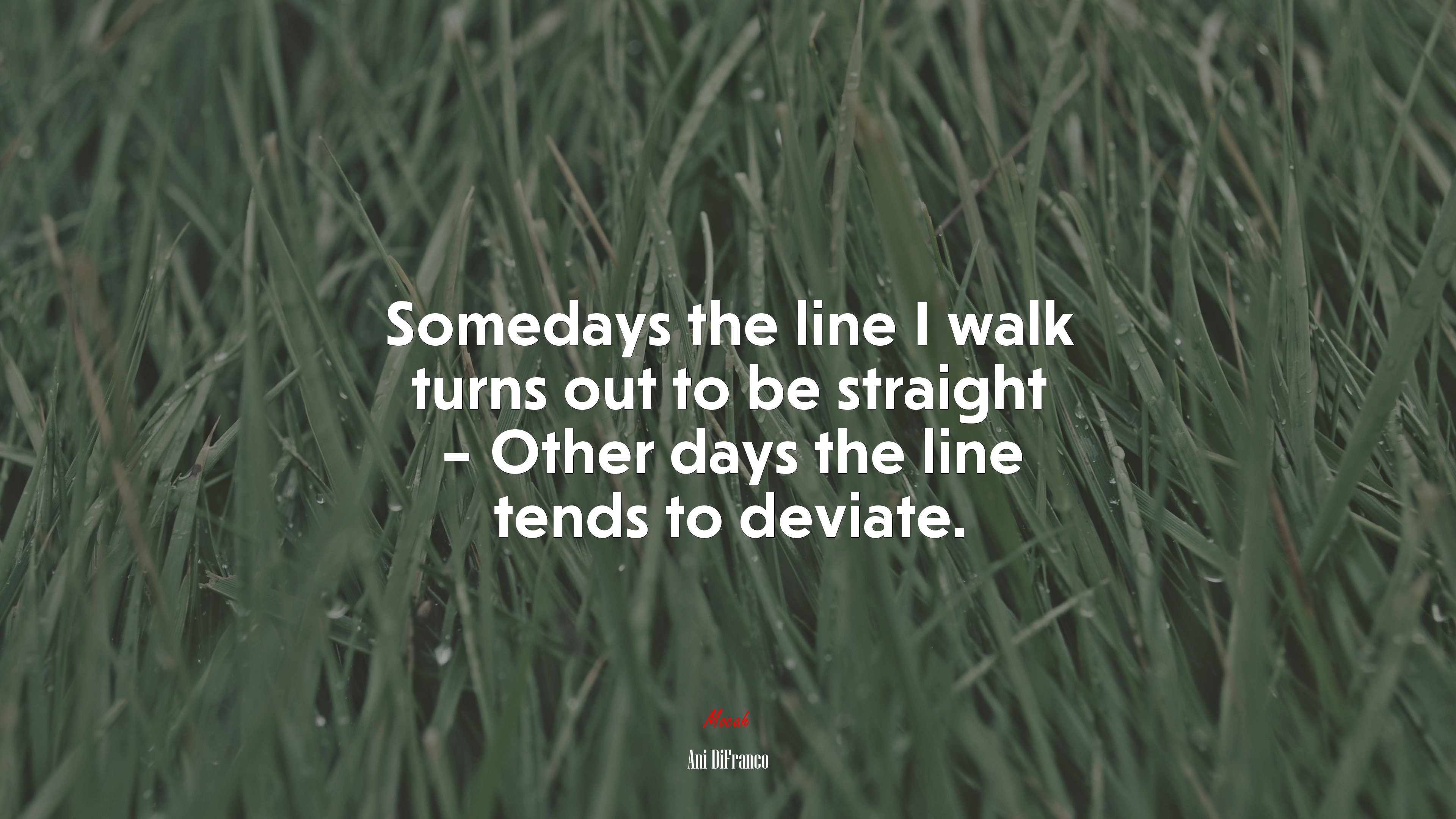 Somedays the line I walk turns out to be straight – Other days the line tends to deviate. | Ani DiFranco quote HD Wallpaper