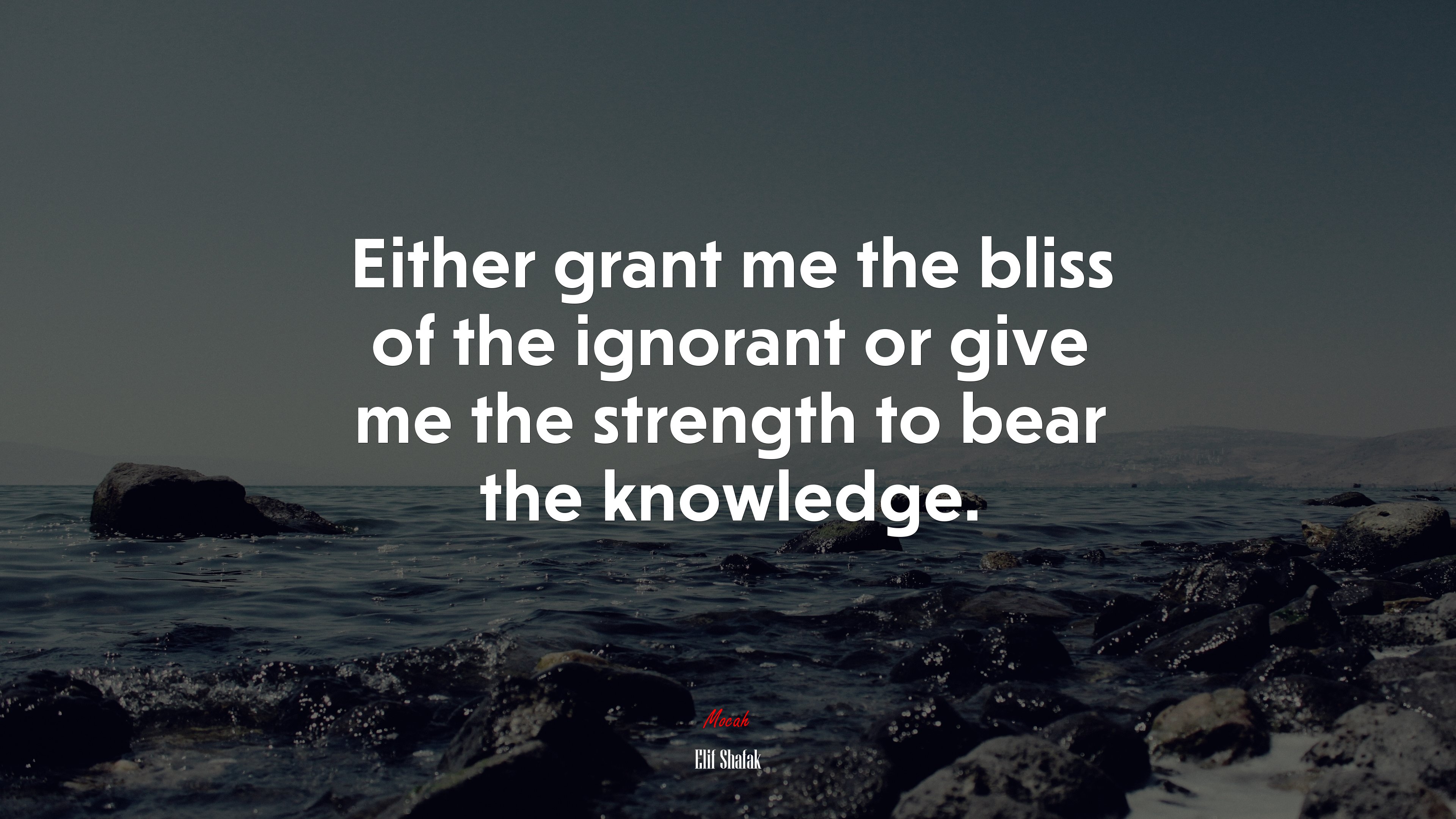 Either grant me the bliss of the ignorant or give me the strength to bear the knowledge. | Elif Shafak quote HD Wallpaper