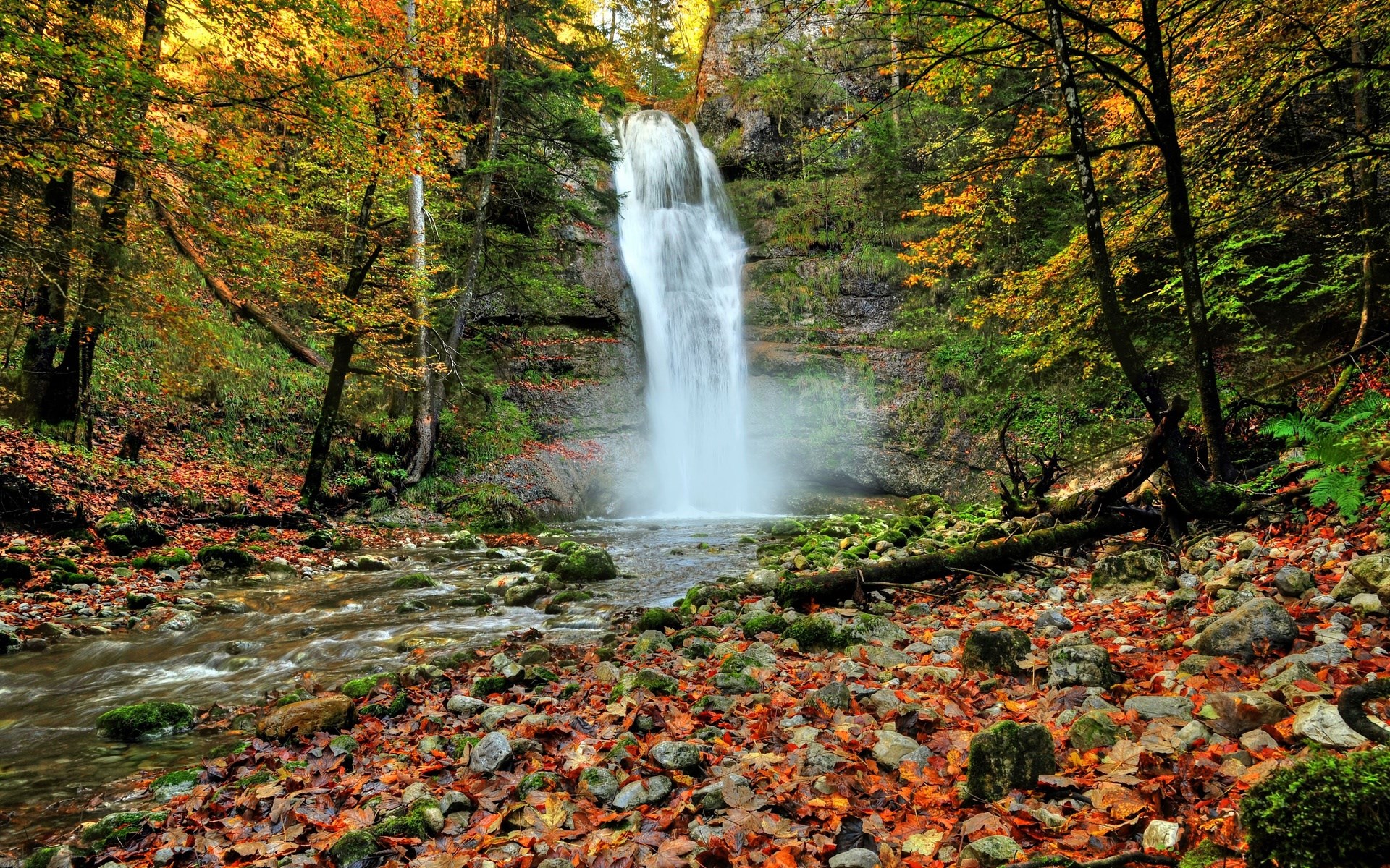 Waterfall in an autumn forest with a stream HD Wallpaper