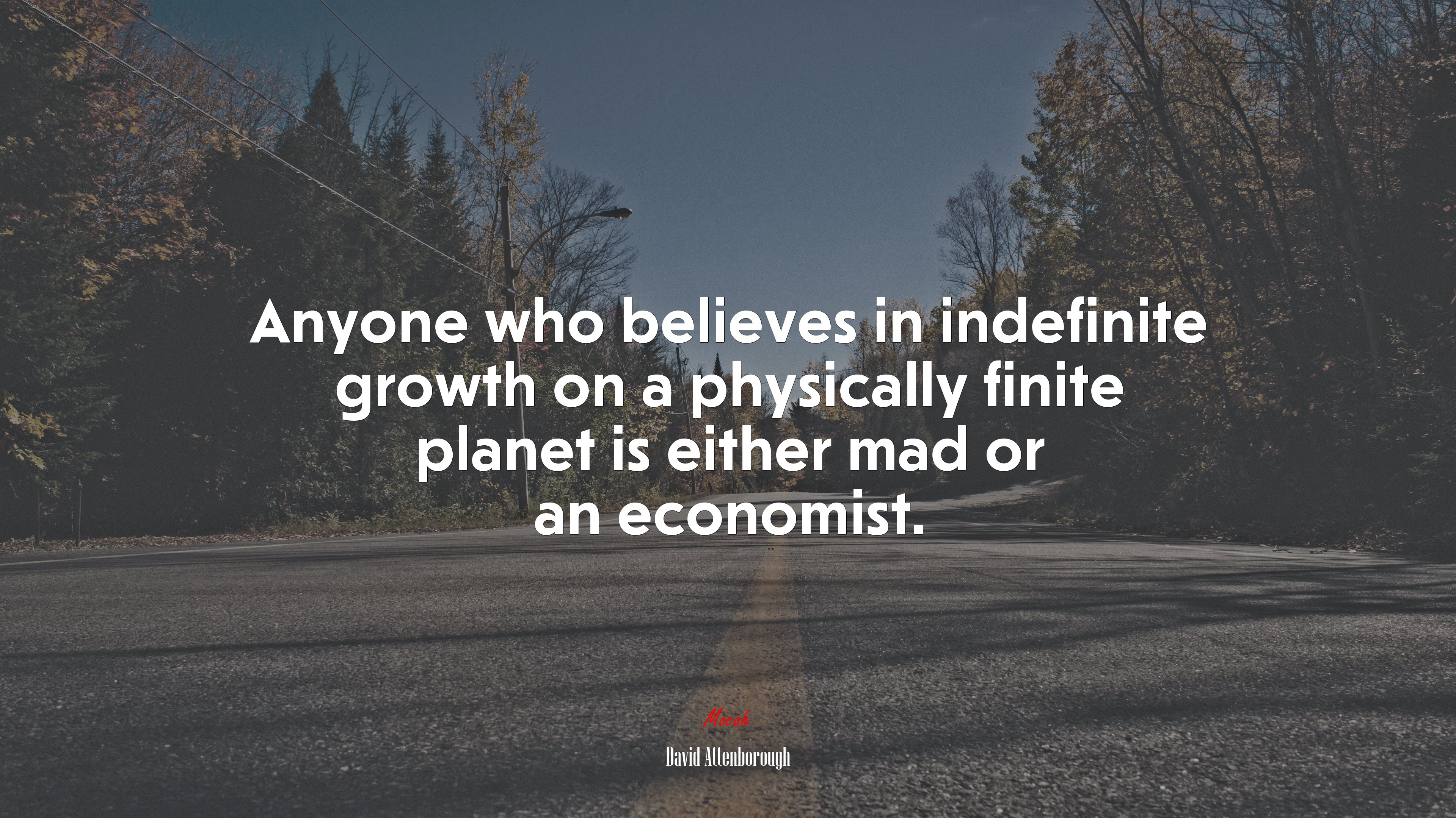 Anyone who believes in indefinite growth on a physically finite planet is either mad or an economist. | David Attenborough quote HD Wallpaper