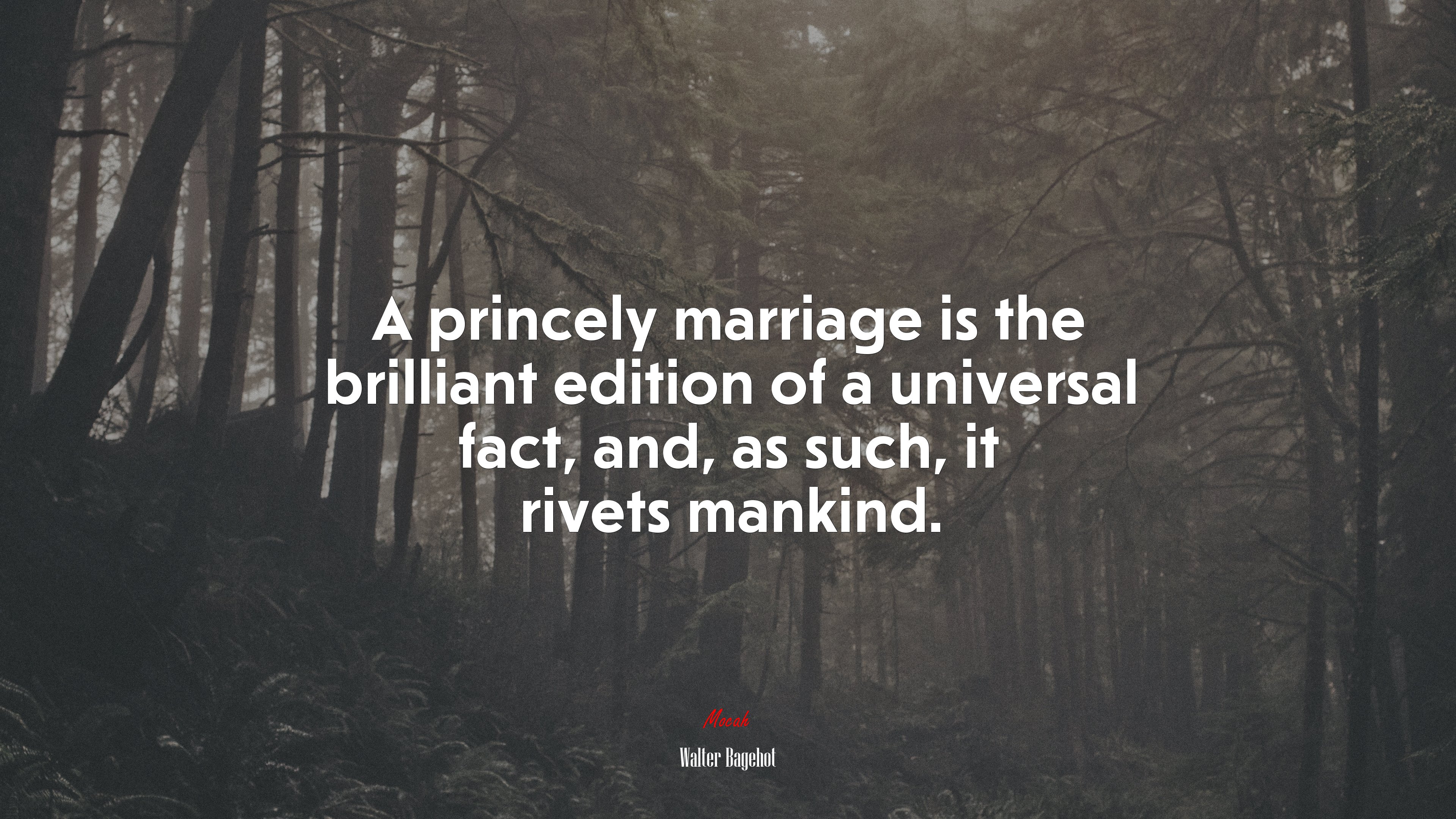 A princely marriage is the brilliant edition of a universal fact, and, as such, it rivets mankind. | Walter Bagehot quote HD Wallpaper