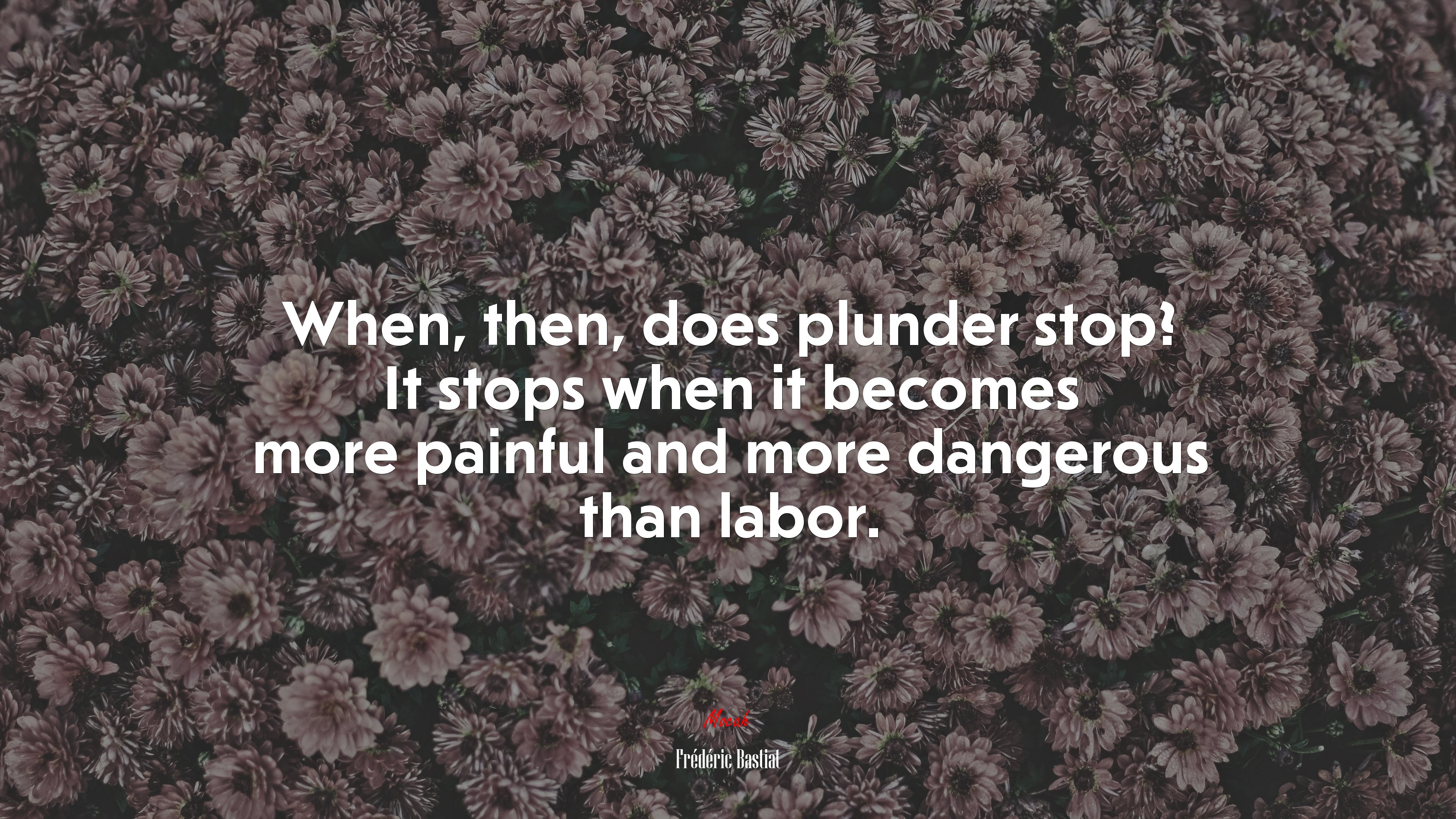 When, then, does plunder stop? It stops when it becomes more painful and more dangerous than labor. | Frédéric Bastiat quote HD Wallpaper