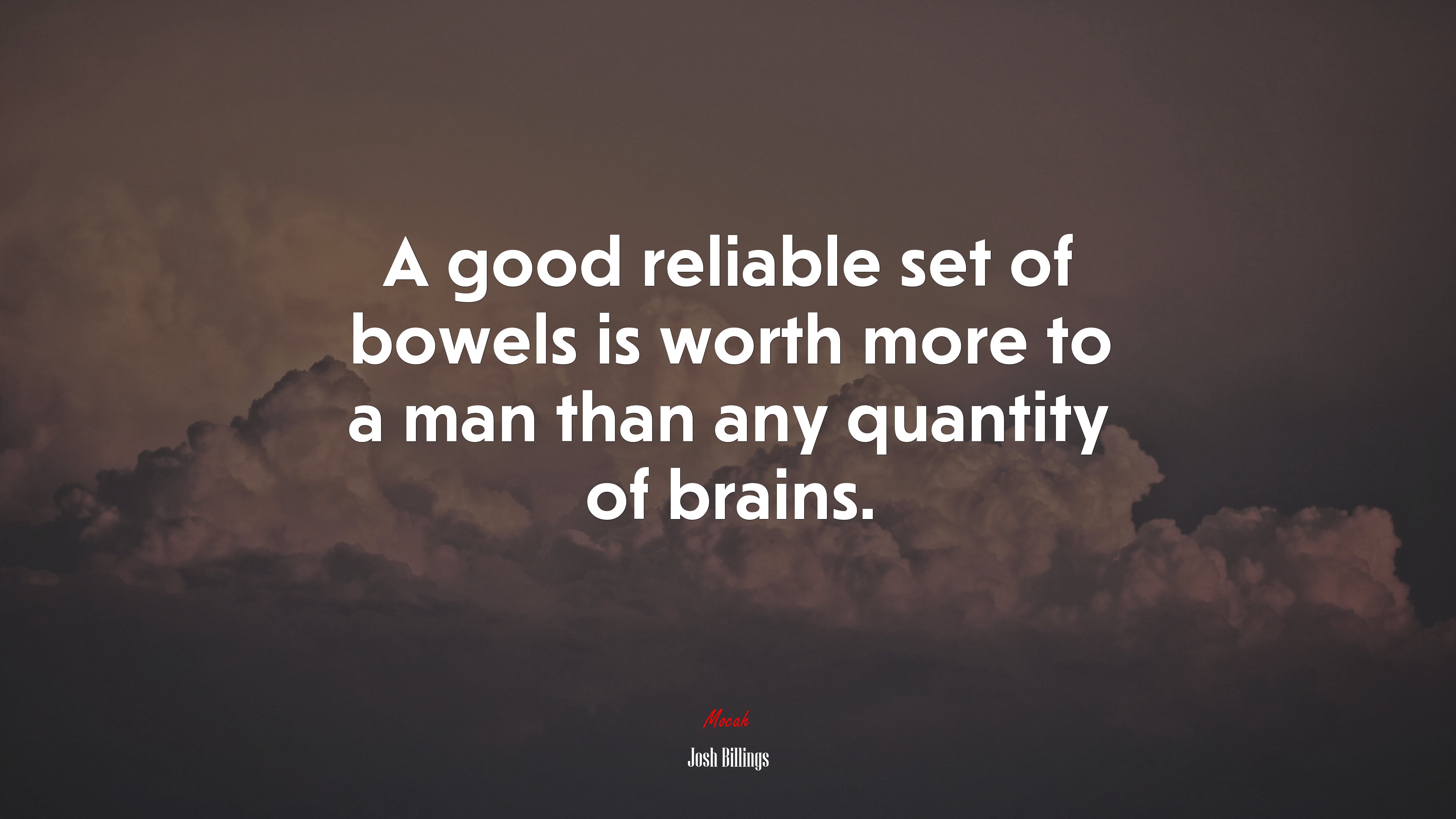 A good reliable set of bowels is worth more to a man than any quantity of brains. | Josh Billings quote HD Wallpaper