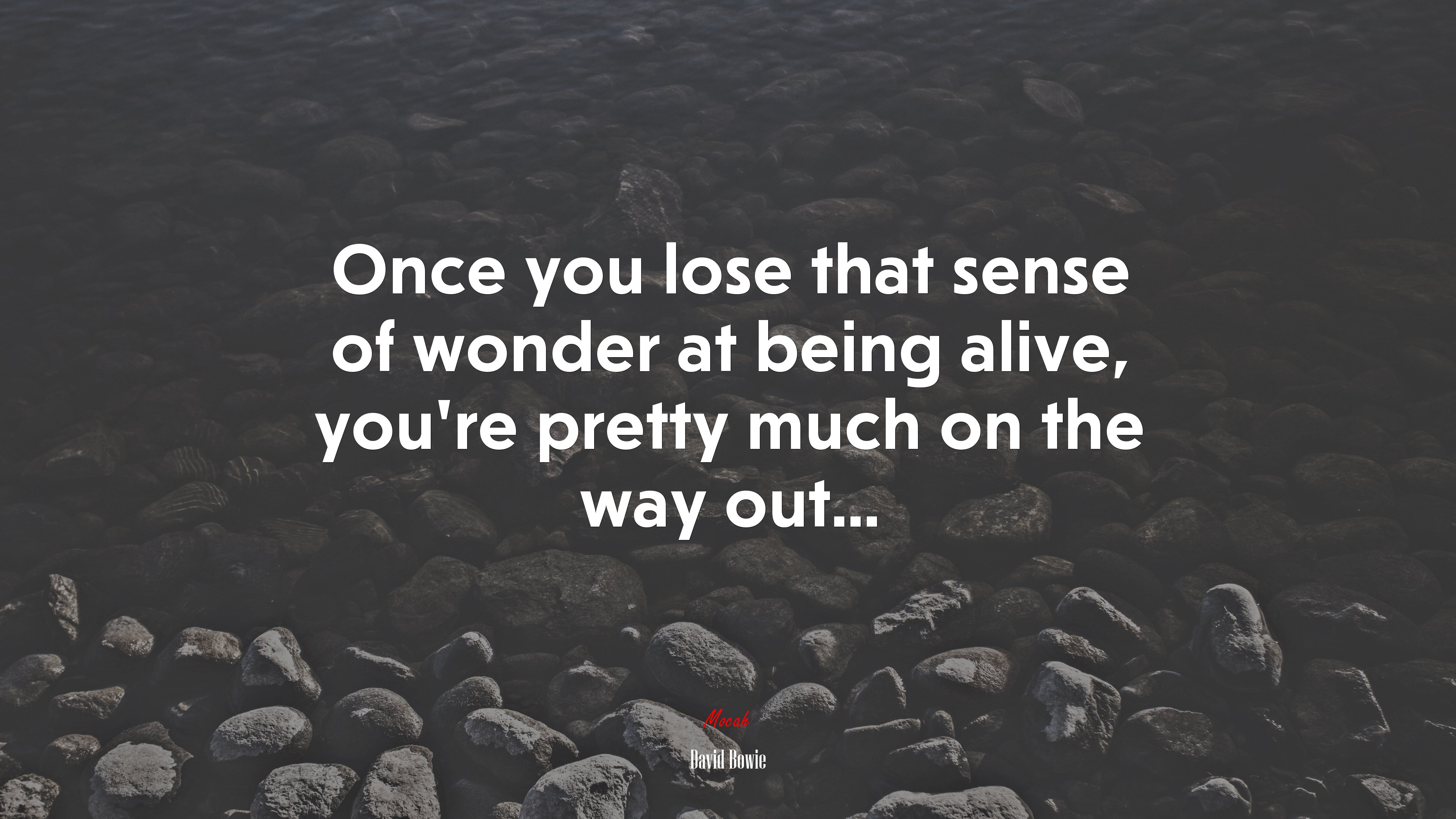 Once you lose that sense of wonder at being alive, you’re pretty much on the way out... | David Bowie quote HD Wallpaper