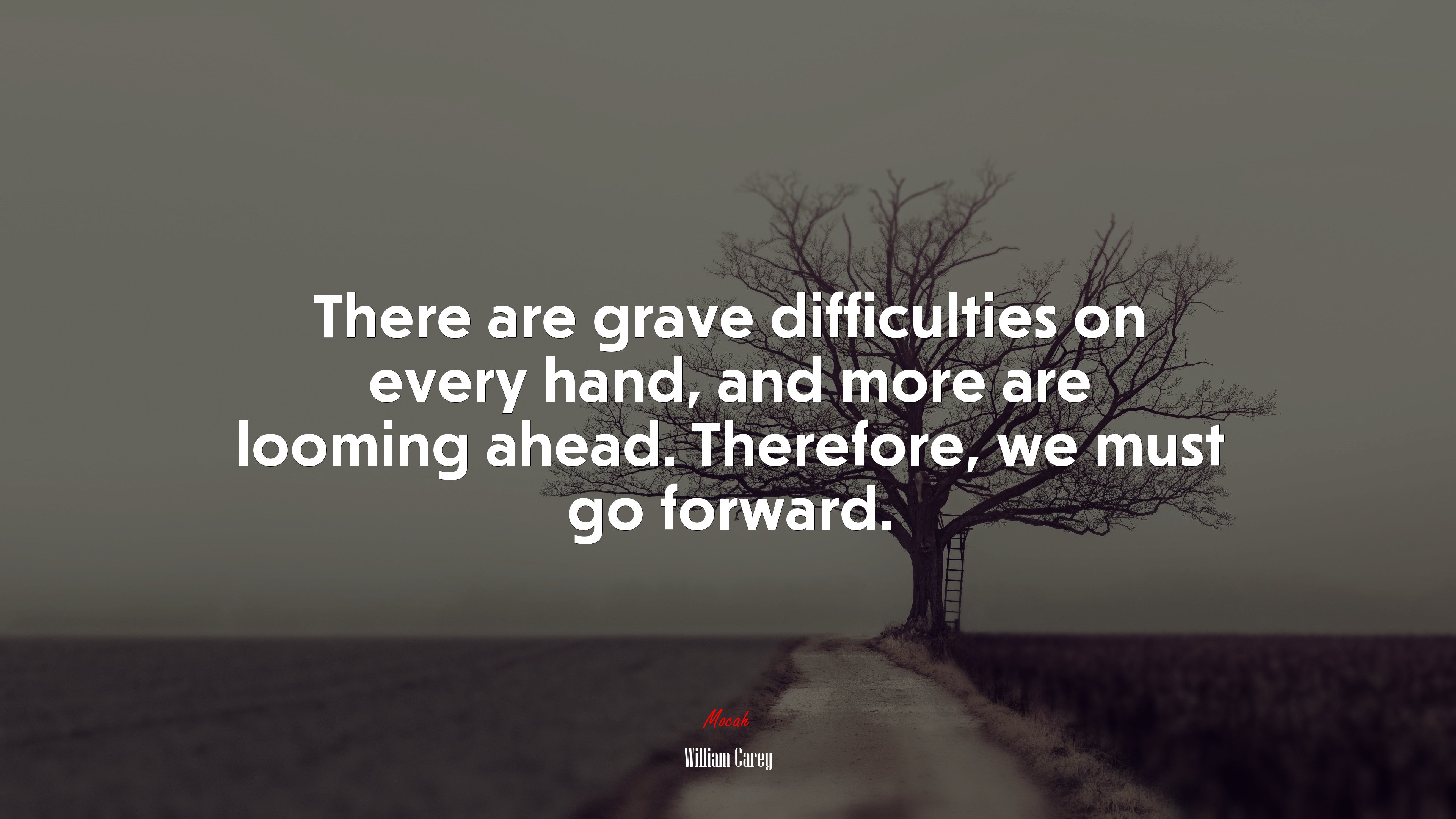 There are grave difficulties on every hand, and more are looming ahead. Therefore, we must go forward. | William Carey quote HD Wallpaper